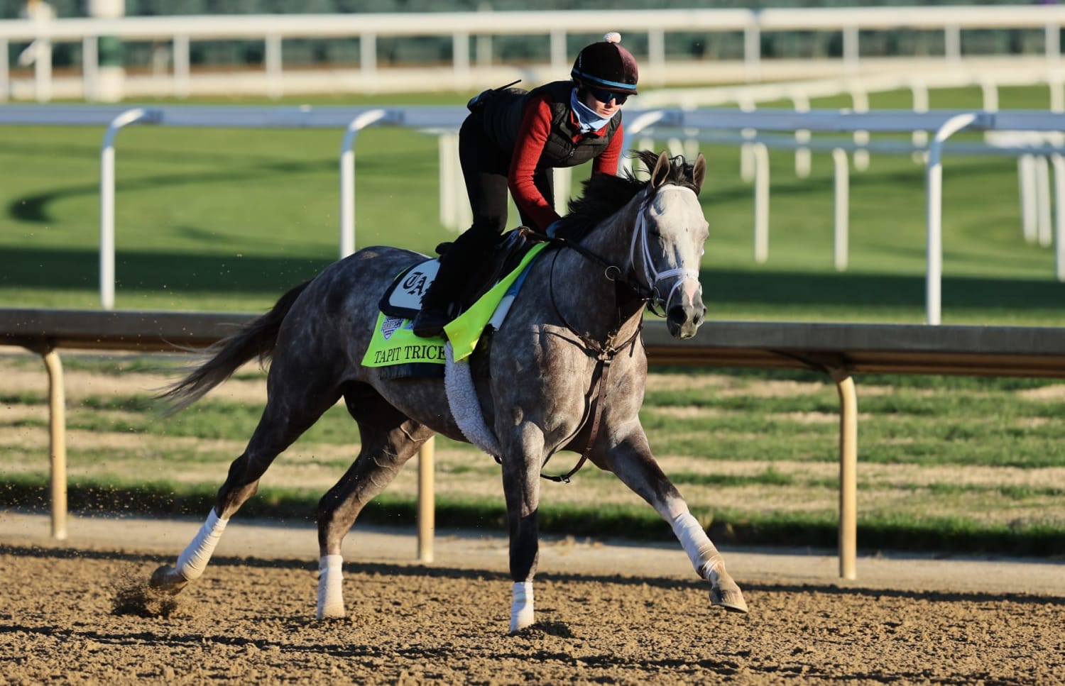 Mattress Mack bets $1.2 million on Angel of Empire for Kentucky