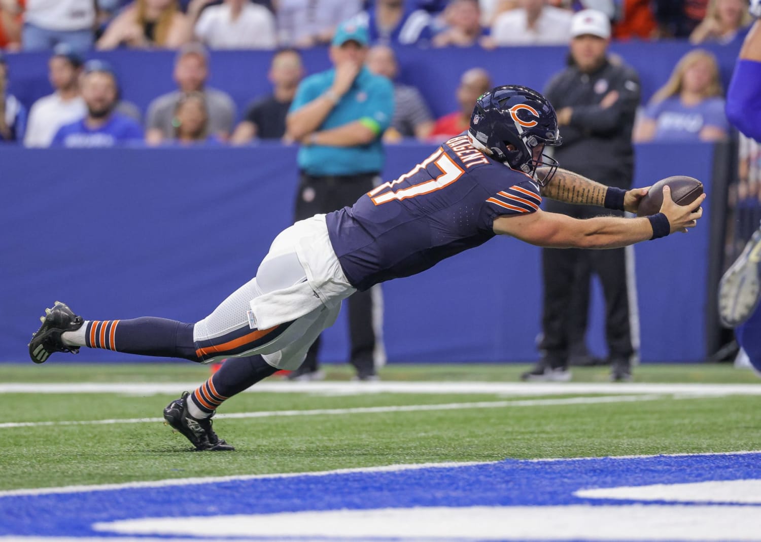 Bernard Berrian  Bear, Chicago bears, Bear photos