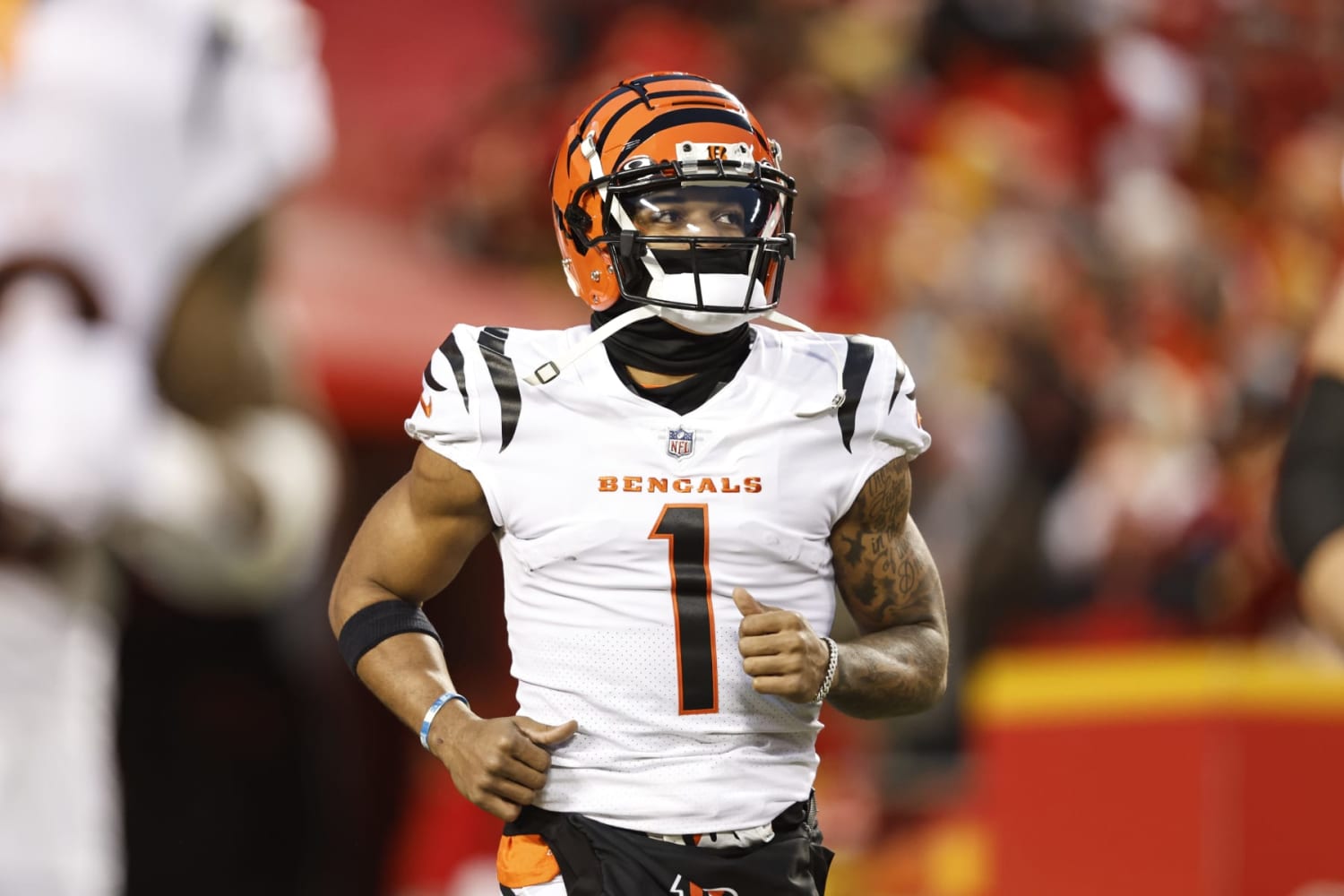 Rey Maualuga Re-Signs with Bengals: Latest Contract Details, Comments,  Reaction, News, Scores, Highlights, Stats, and Rumors