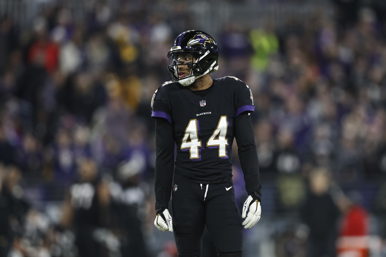 Dec. 11, 2011 - Baltimore, Maryland, U.S - Free safety Ed Reed (20) of the  Baltimore Ravens stands between plays during an NFL game between the  Baltimore Ravens and the Indianapolis Colts (