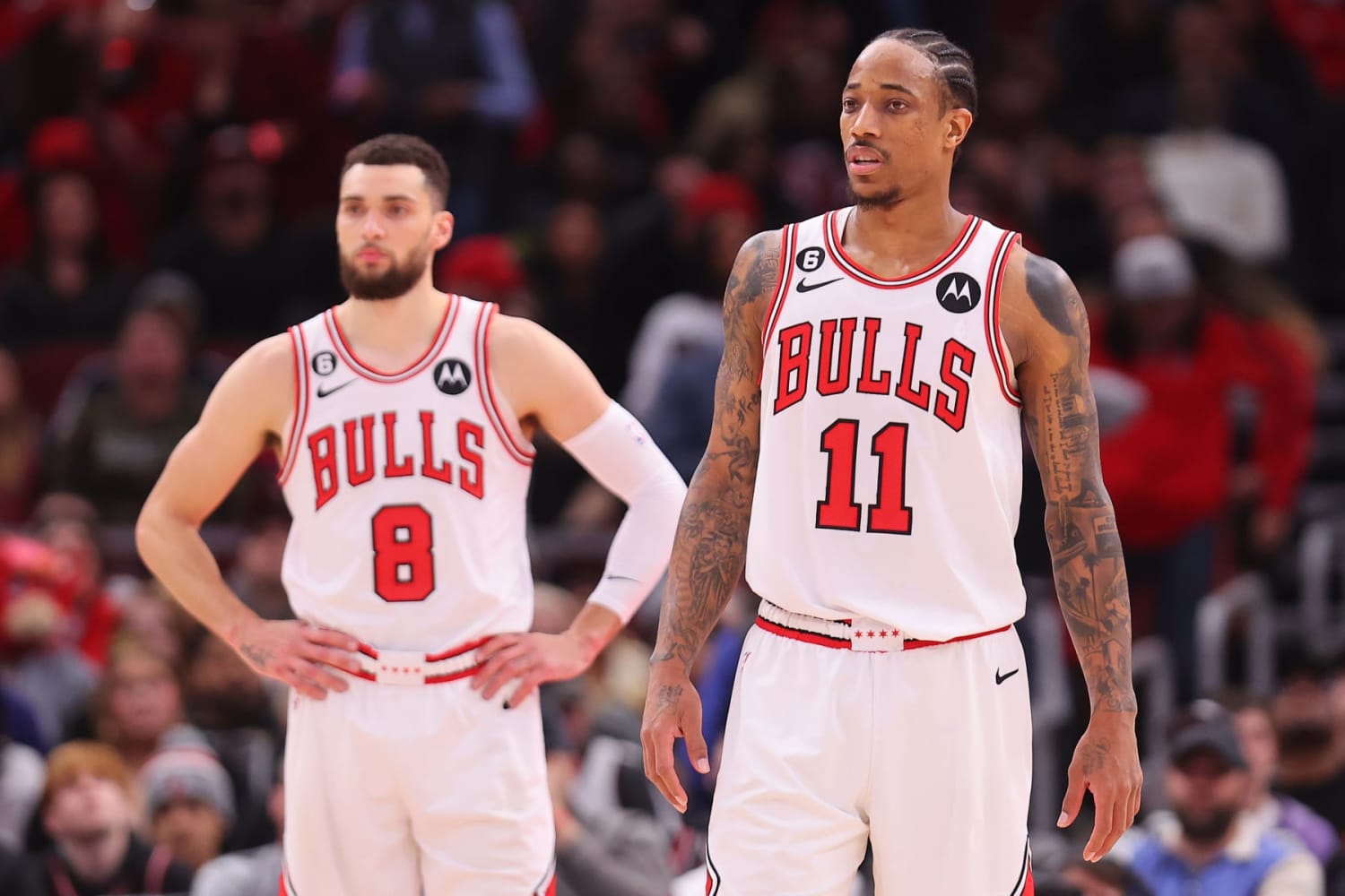 BullsMuse on X: The Chicago Bulls are UNDEFEATED at the NBA