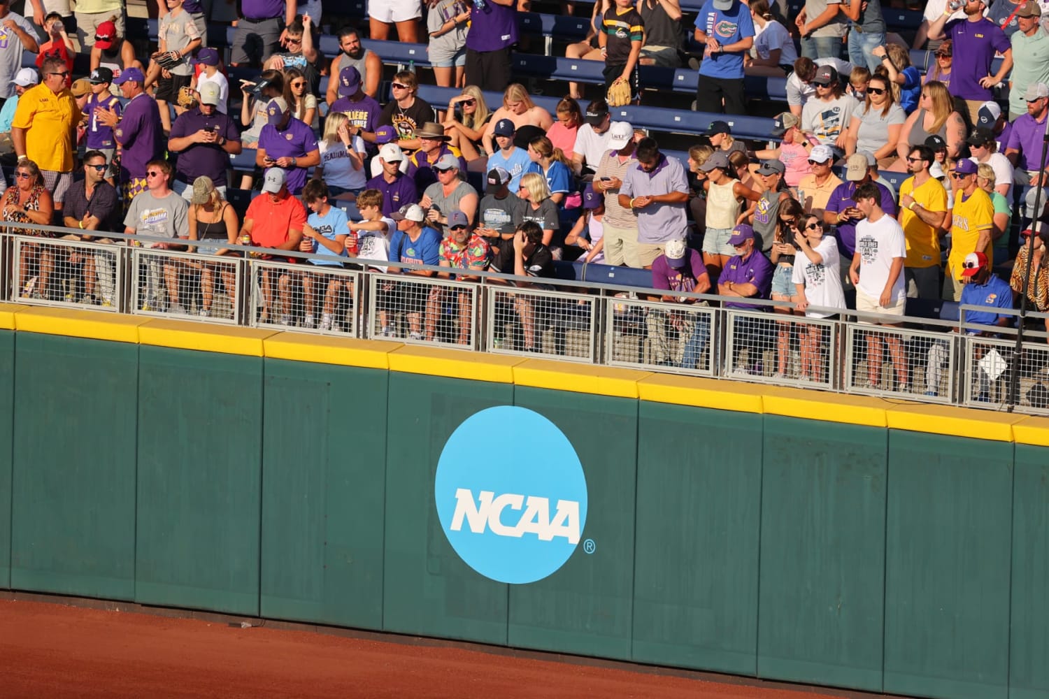 FMU Lions crowned 2023 Black College World Series Champions with 5-4  victory in 19 innings - Florida Memorial University Athletics