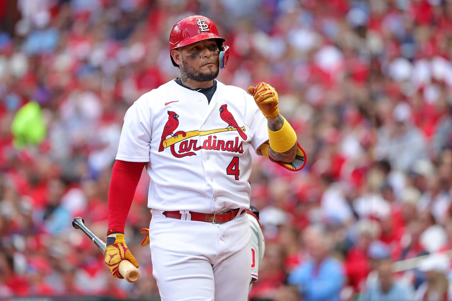 My Thoughts on the Cardinals Outfield - Viva El Birdos