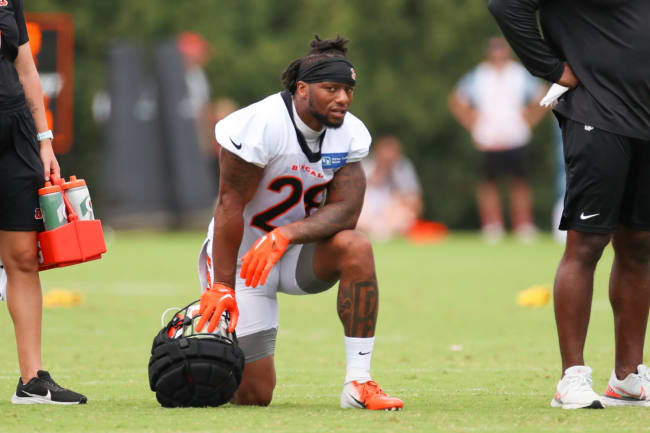 Uzomah, Mixon and the Bengals fan's phone that fell celebrating a TD