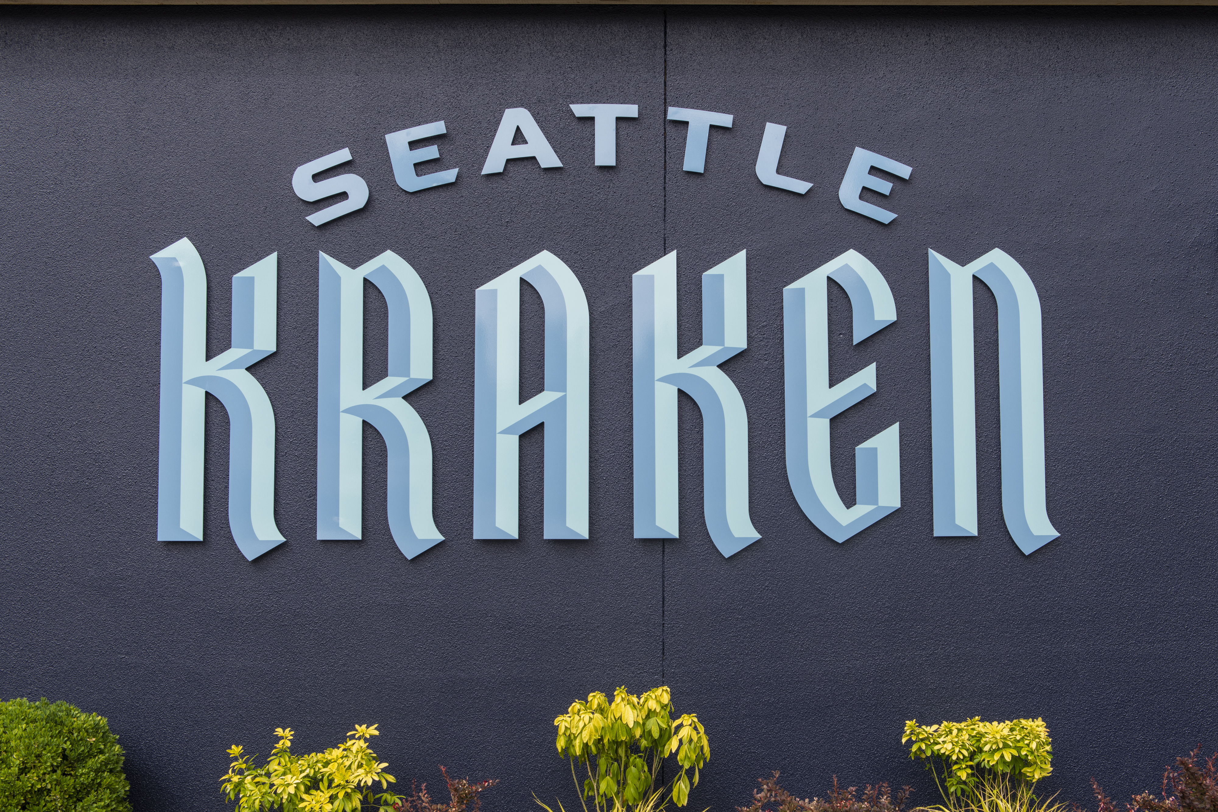 Through expansion draft, Seattle Kraken sets first roster