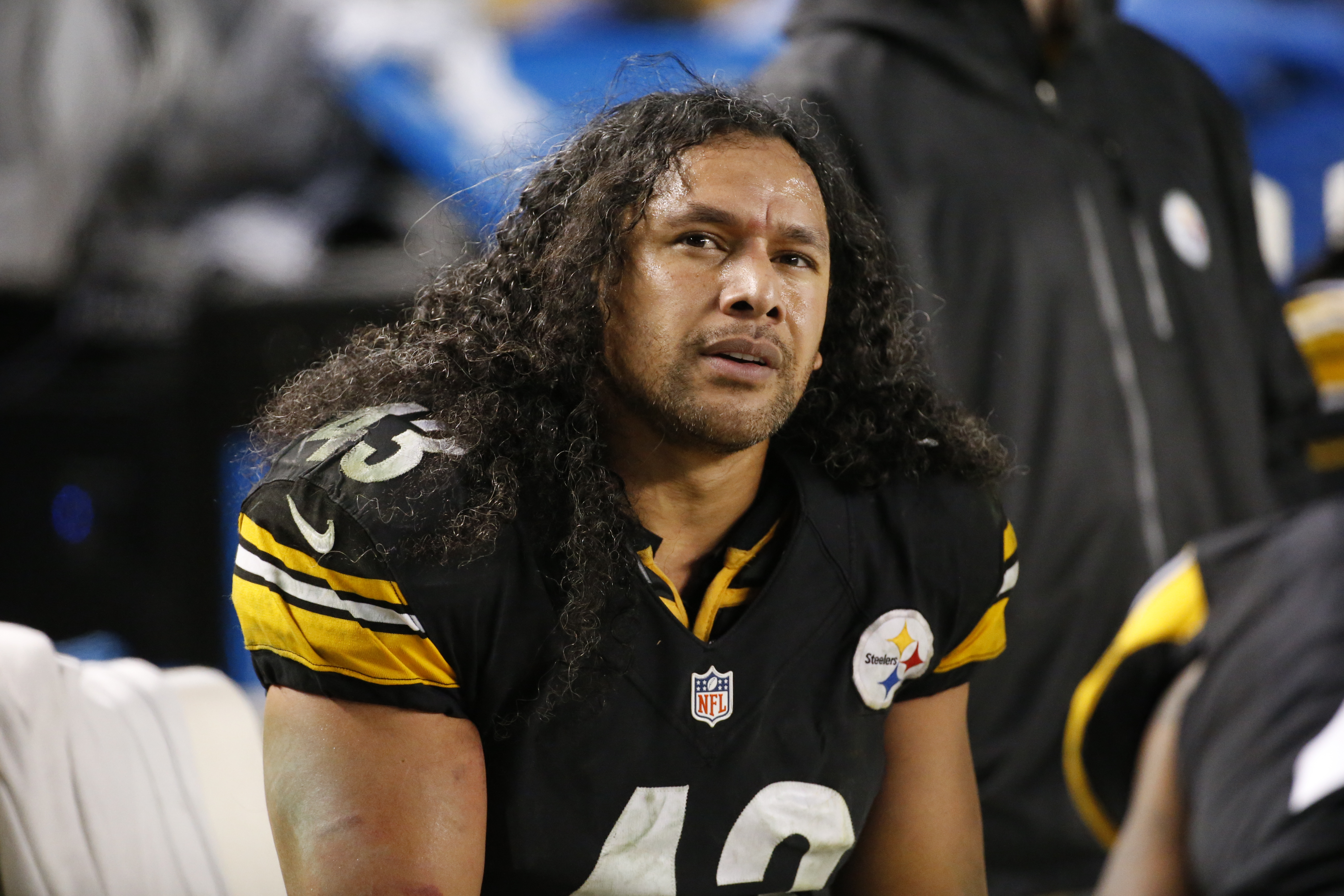 kc chiefs troy polamalu