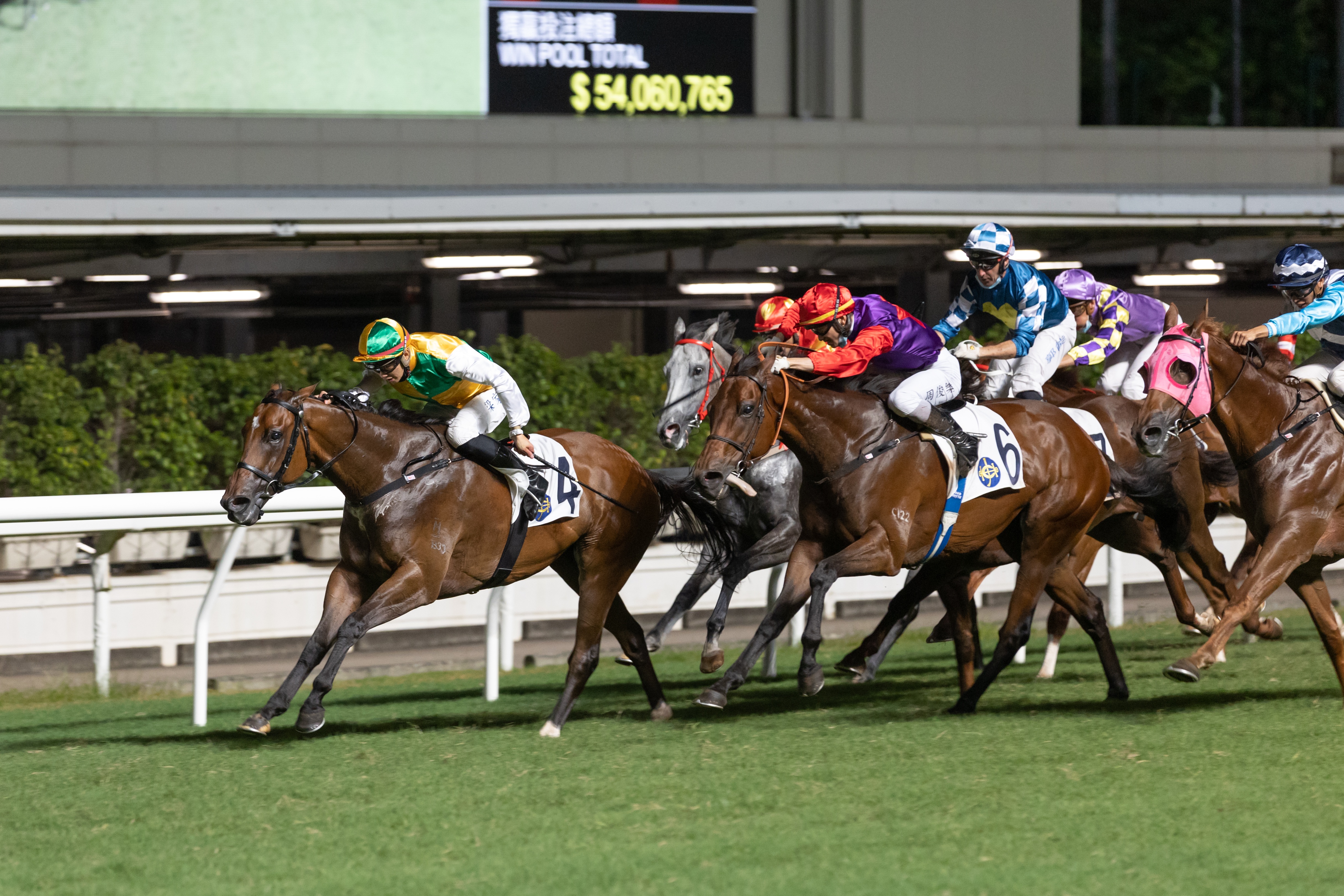 Bold And Bossy Escapes Ellis Park Horse Racetrack Runs Down Kentucky Highway Bleacher Report Latest News Videos And Highlights