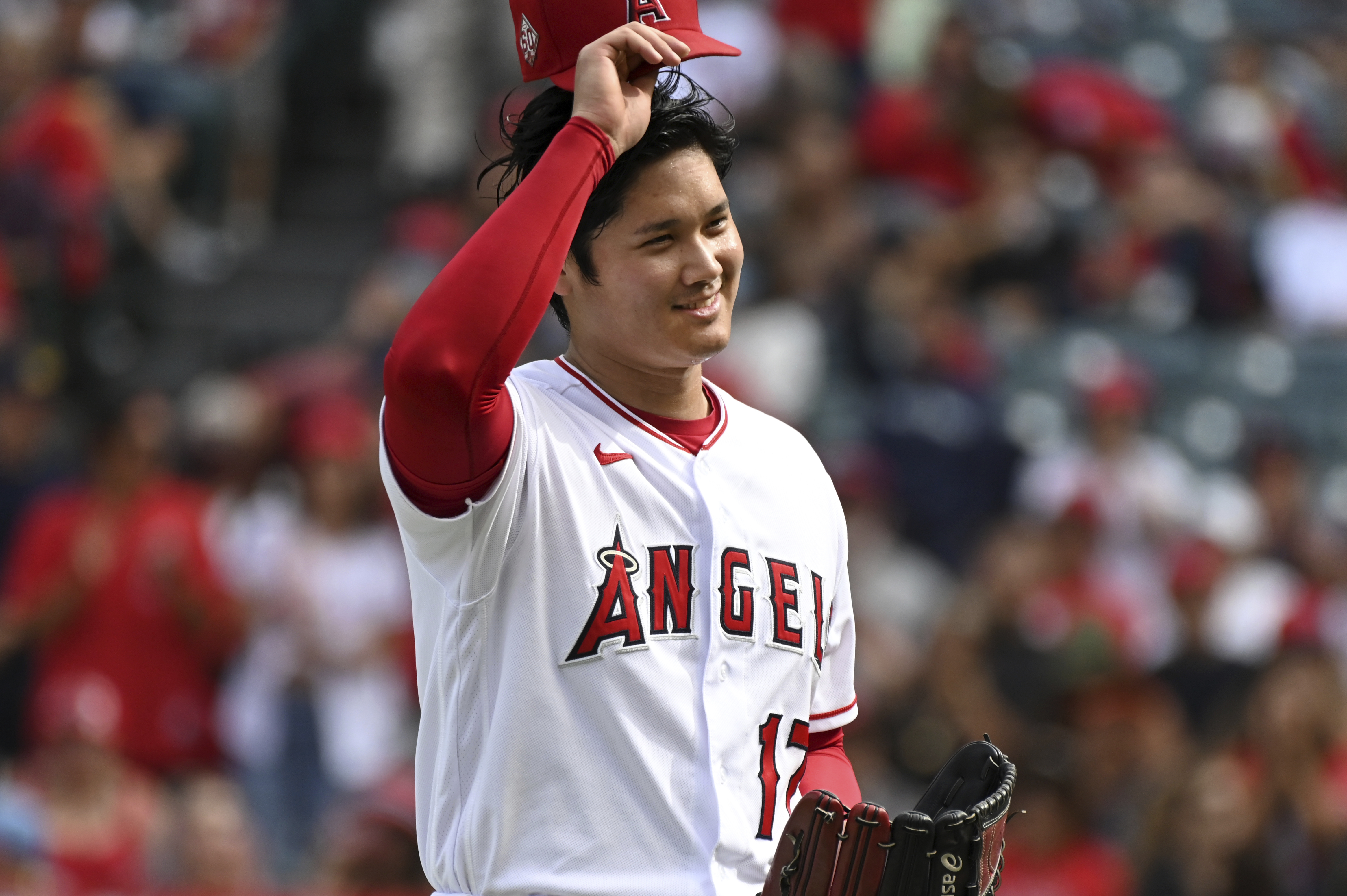 Noah's comment today : r/angelsbaseball