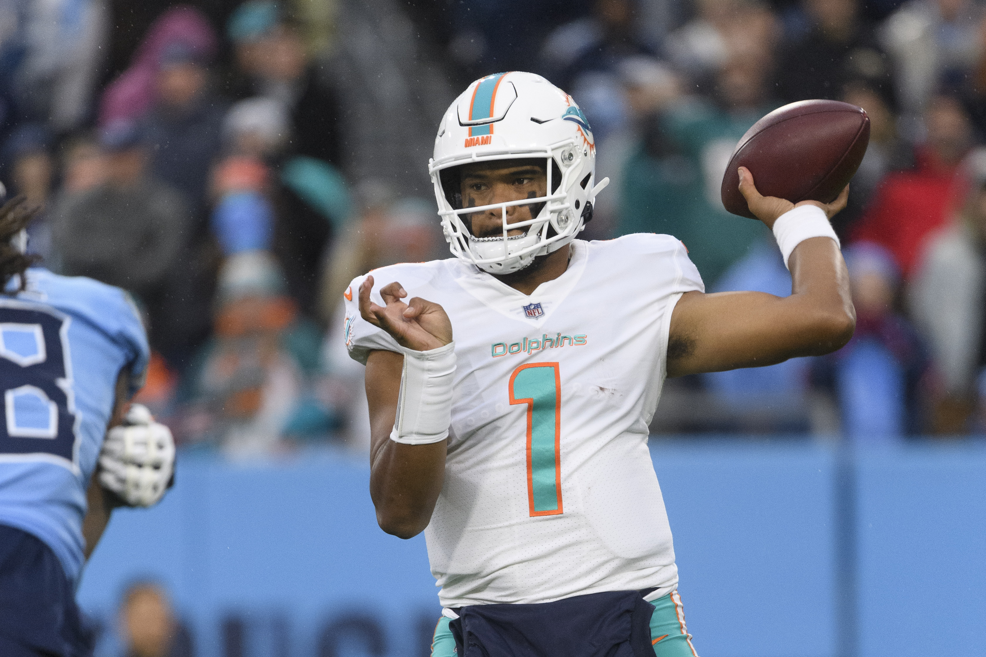 BR: Dolphins podcast
