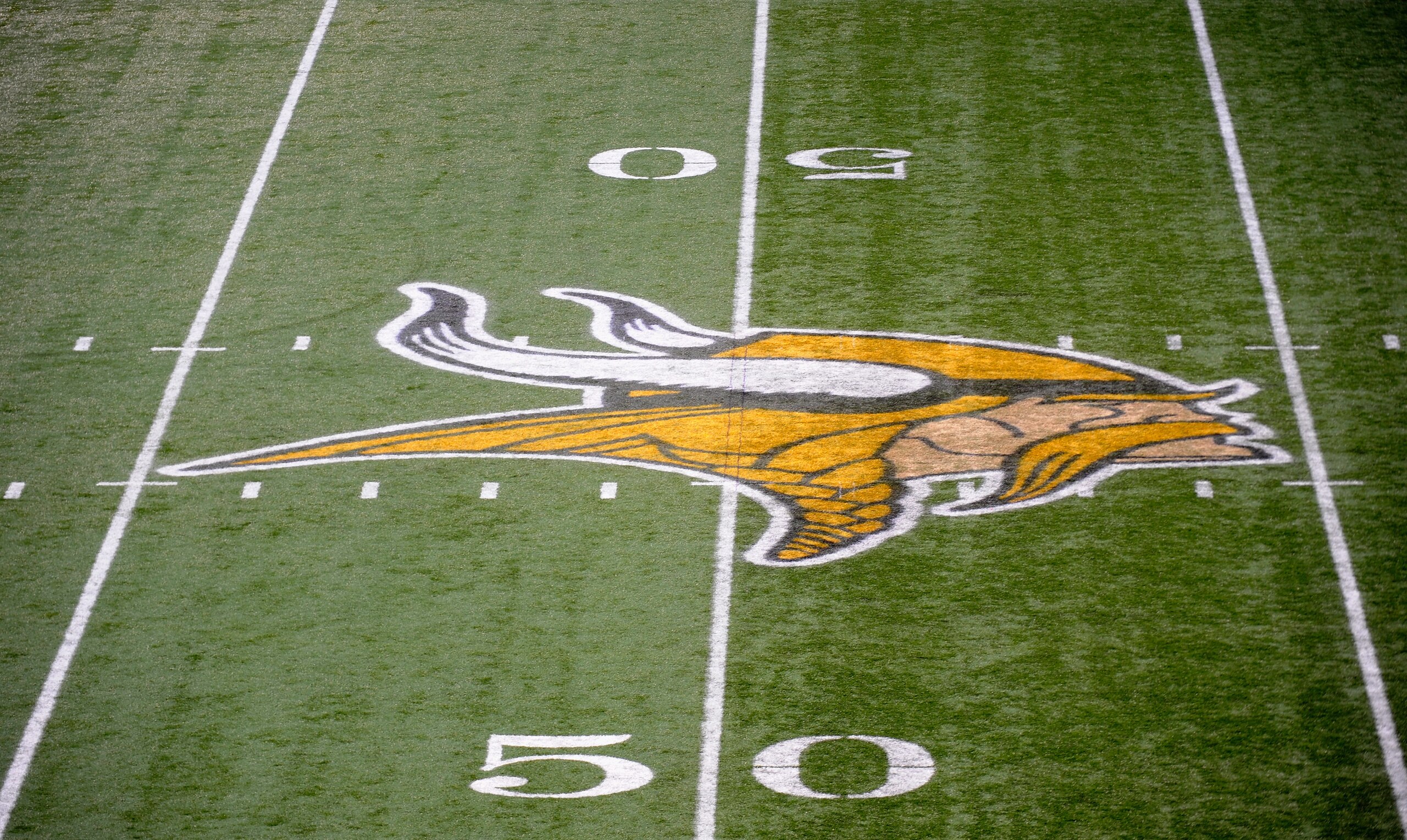 MINNEAPOLIS, MN - DECEMBER 18: A general view of the Minnesota Vikings' logo on the 50 yard line during the game between the Minnesota Vikings and the New Orleans Saints on December 18, 2011 at Mall of America Field at the Hubert H. Humphrey Metrodome in Minneapolis, Minnesota. (Photo by Hannah Foslien/Getty Images)