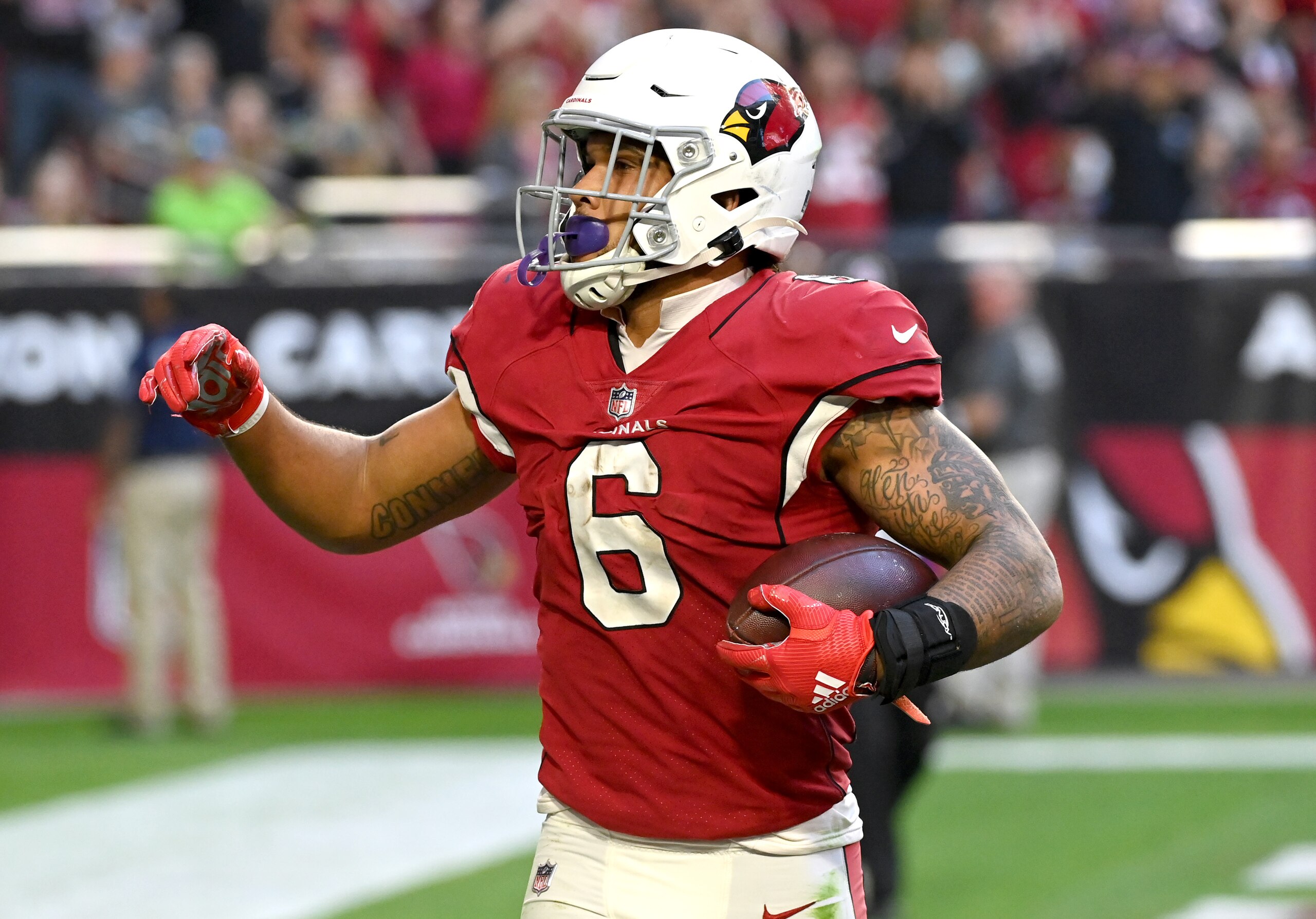 GLENDALE, ARIZONA - JANUARY 09: James Conner #6 of the Arizona Cardinals celebrates after running the ball for a touchdown during the third quarter against the Seattle Seahawks at State Farm Stadium on January 09, 2022 in Glendale, Arizona. (Photo by Norm Hall/Getty Images) GLENDALE, ARIZONA - JANUARY 09: James Conner #6 of the Arizona Cardinals celebrates after running the ball for a touchdown during the third quarter against the Seattle Seahawks at State Farm Stadium on January 09, 2022 in Glendale, Arizona. (Photo by Norm Hall/Getty Images)