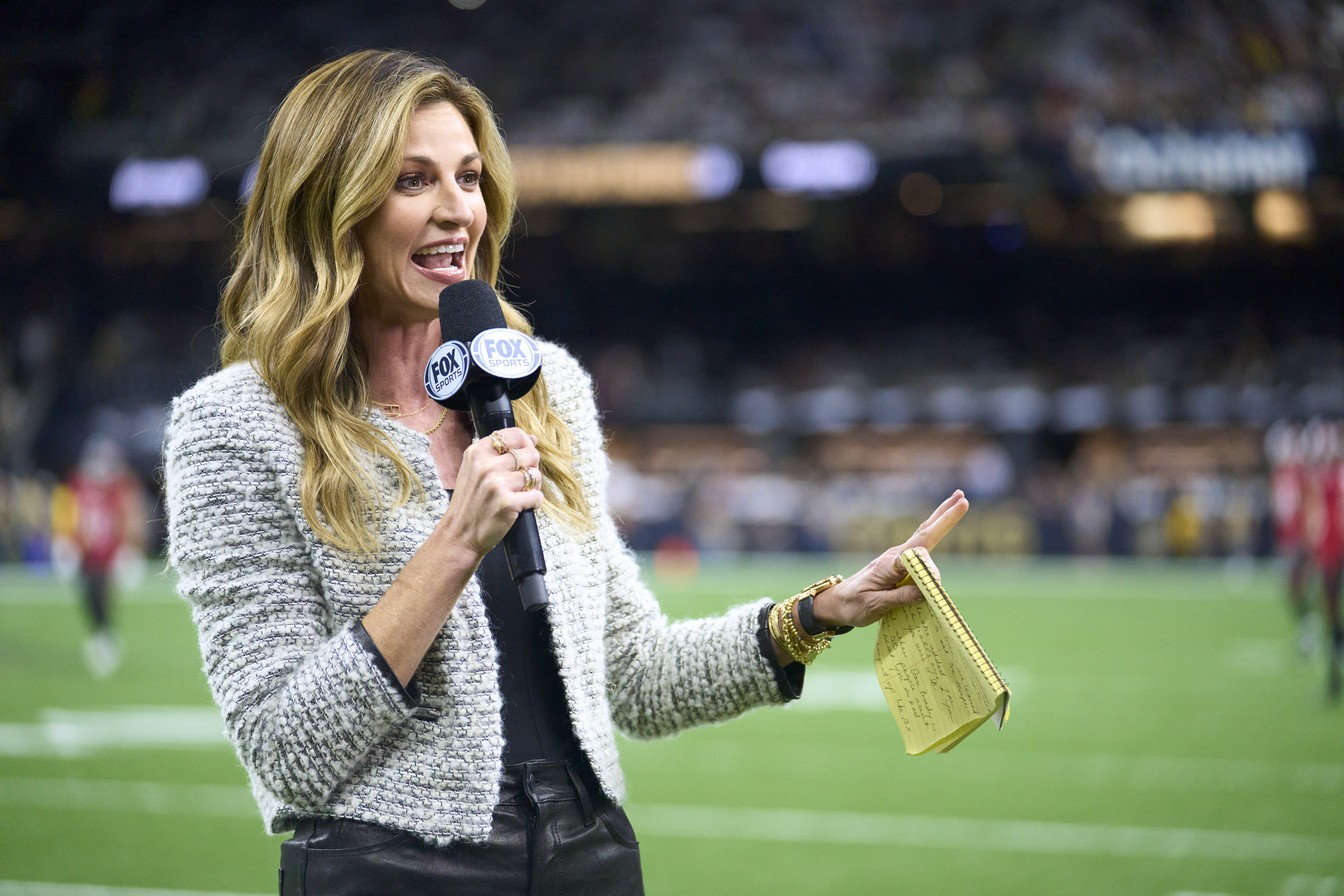 Erin Andrews replaces Pam Oliver on Fox's No. 1 NFL broadcast team – New  York Daily News