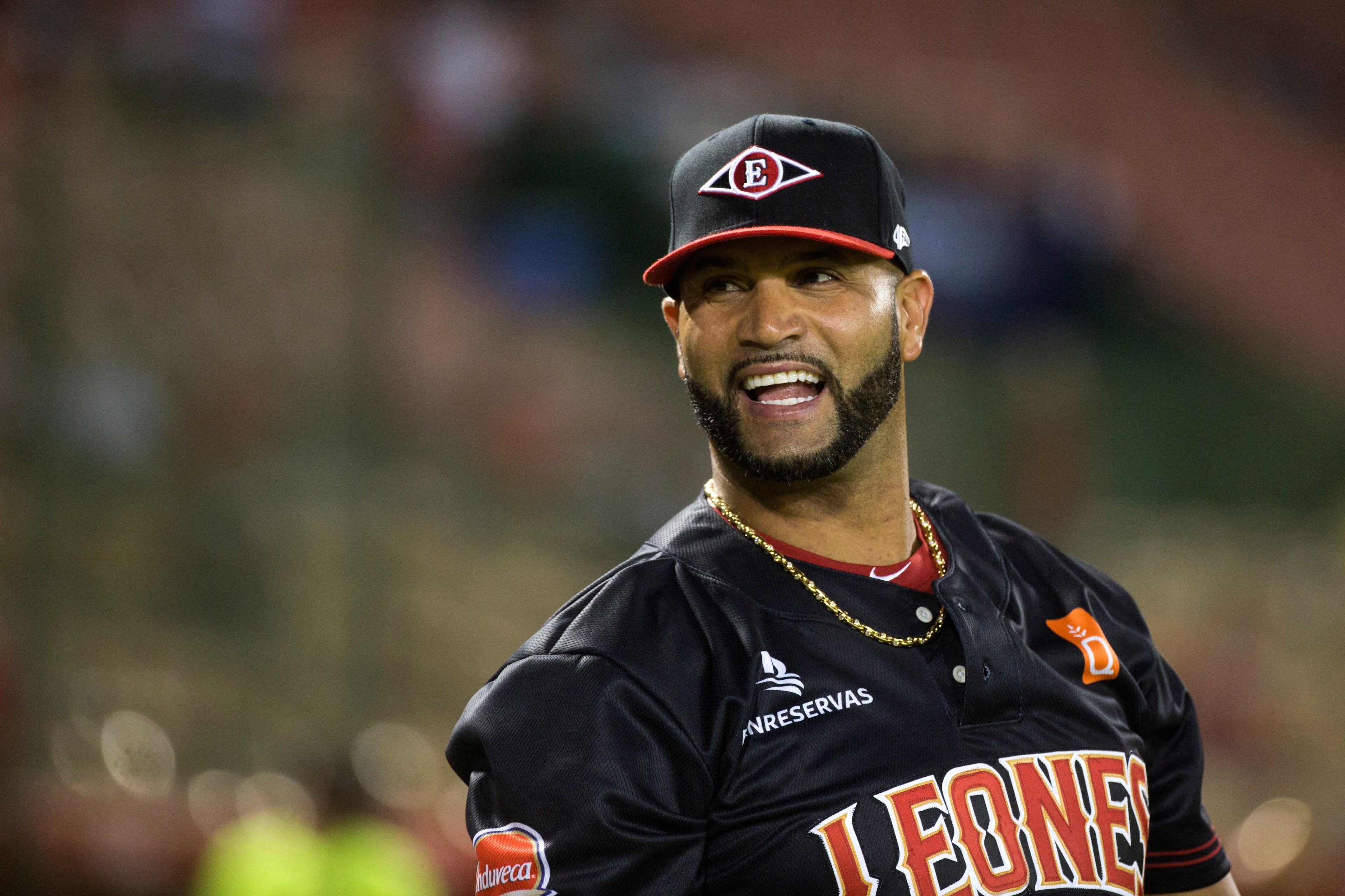 Dominican Albert Pujols of the Leones del Escogido is seen during a Dominican League baseball game against the Toros del Este at the Quisqueya stadium in Santo Domingo, on November 3, 2021. - Pujols made his debut in the league of his country on Sunday. (Photo by Erika SANTELICES / AFP) (Photo by ERIKA SANTELICES/afp/AFP via Getty Images)