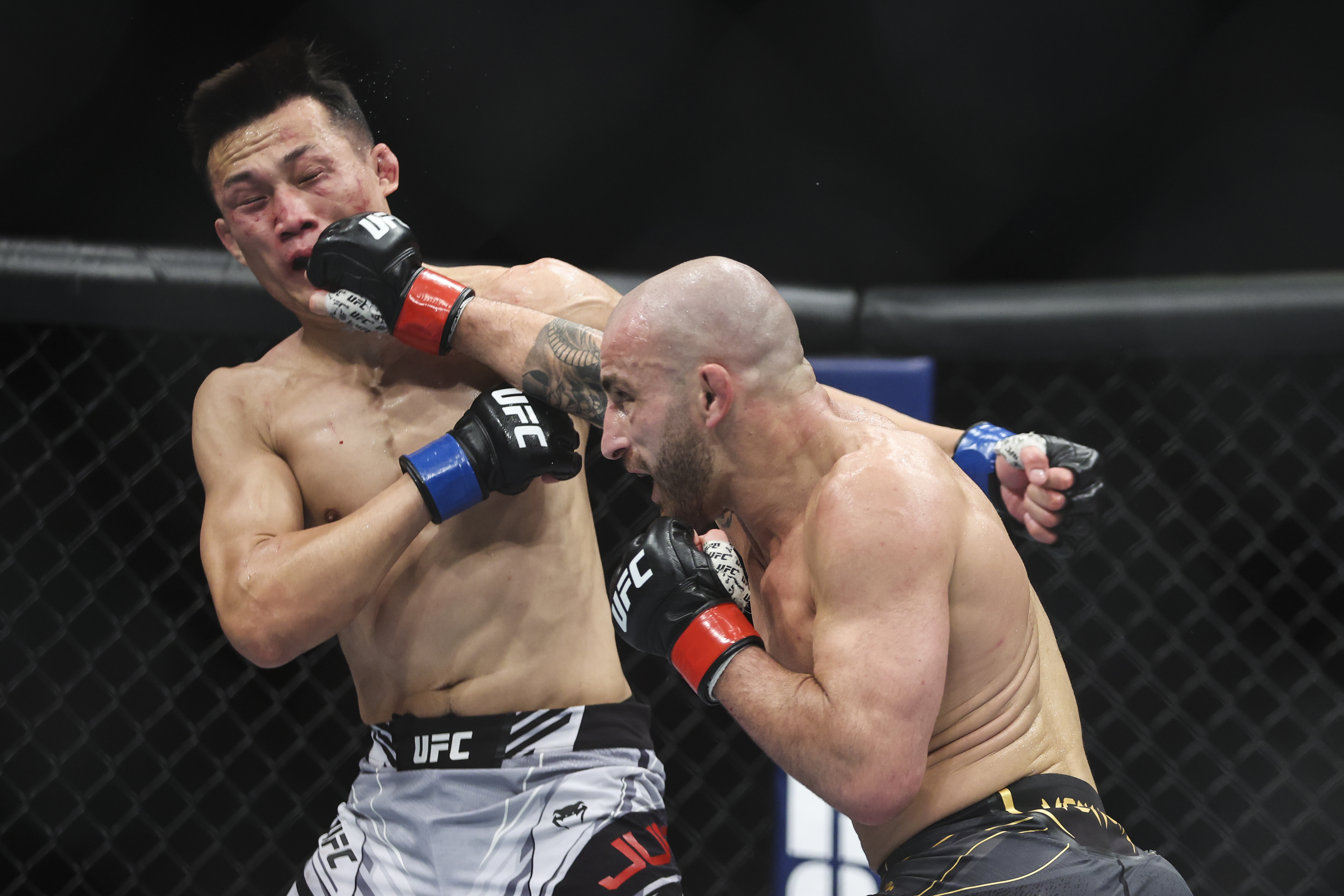 JACKSONVILLE, FLORIDA - APRIL 09: Alexander Volkanovski of Australia punches Chan Sung Jung of South Korea in the featherweight title bout during the UFC 273 event at VyStar Veterans Memorial Arena on April 09, 2022 in Jacksonville, Florida. (Photo by James Gilbert/Getty Images)