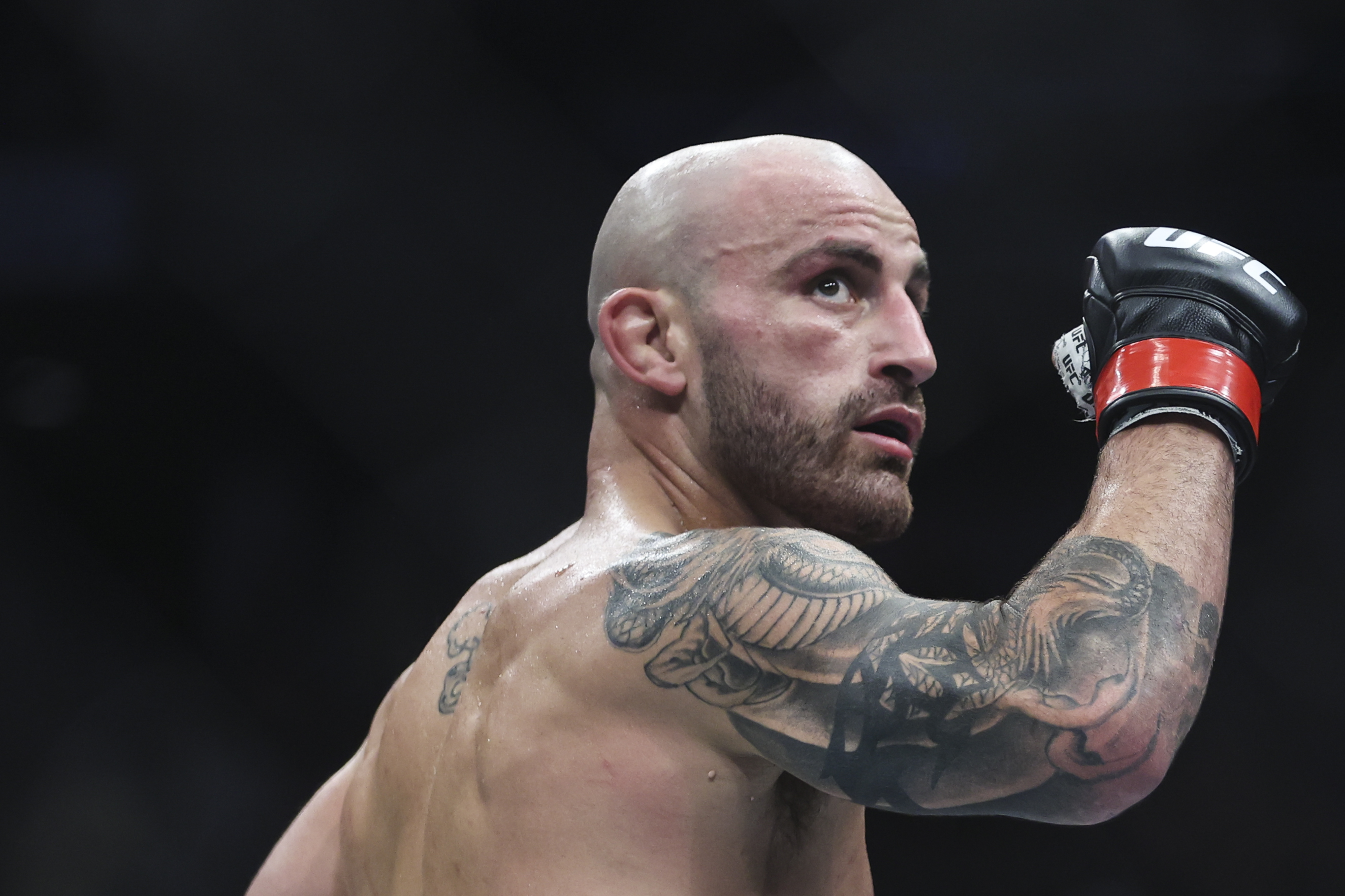 JACKSONVILLE, FLORIDA - APRIL 09: Alexander Volkanovski of Australia reacts during the featherweight title bout against Chan Sung Jung of South Korea during the UFC 273 event at VyStar Veterans Memorial Arena on April 09, 2022 in Jacksonville, Florida. (Photo by James Gilbert/Getty Images)
