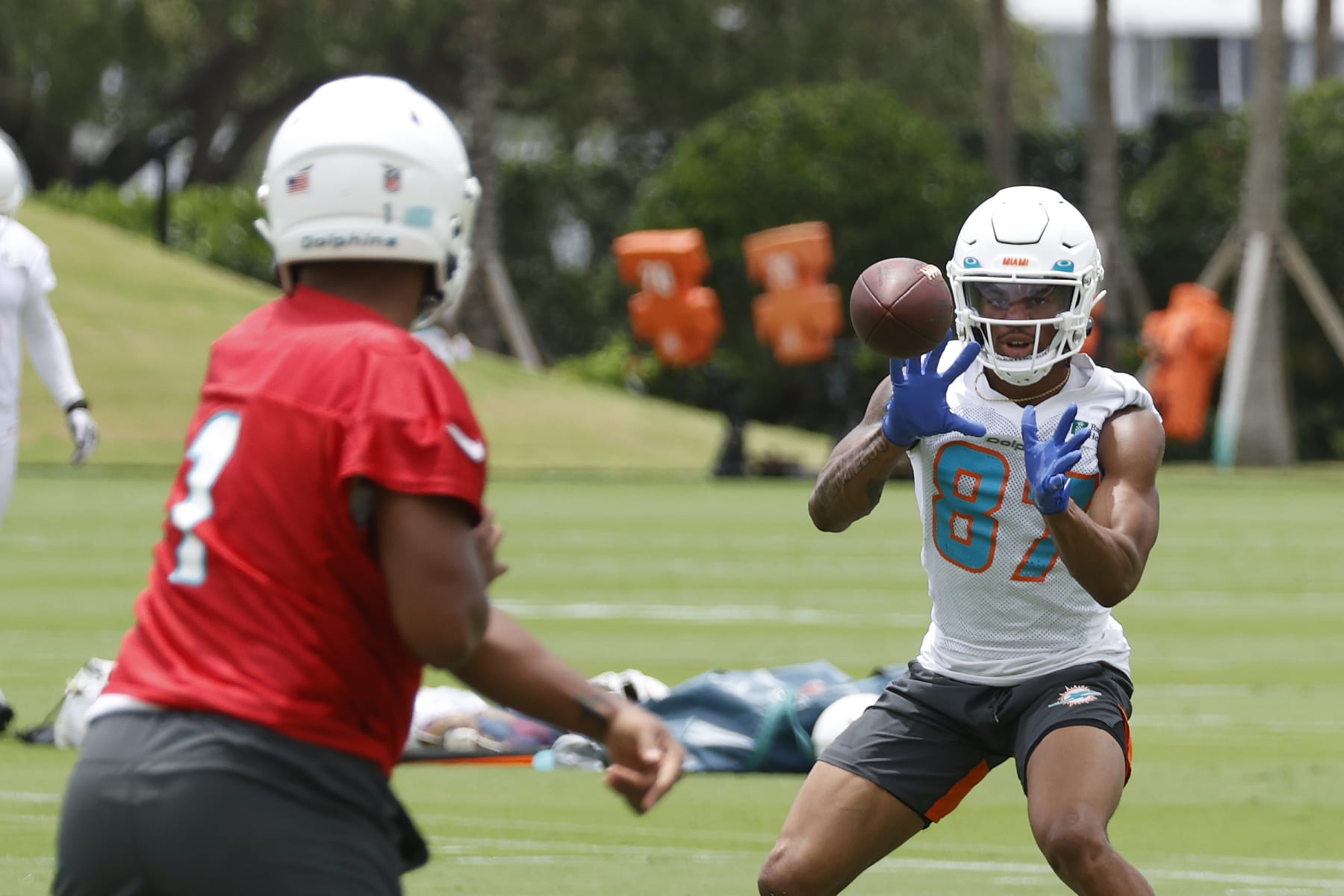 Schad: Tua Tagovailoa, Dolphins need more weapons to take next