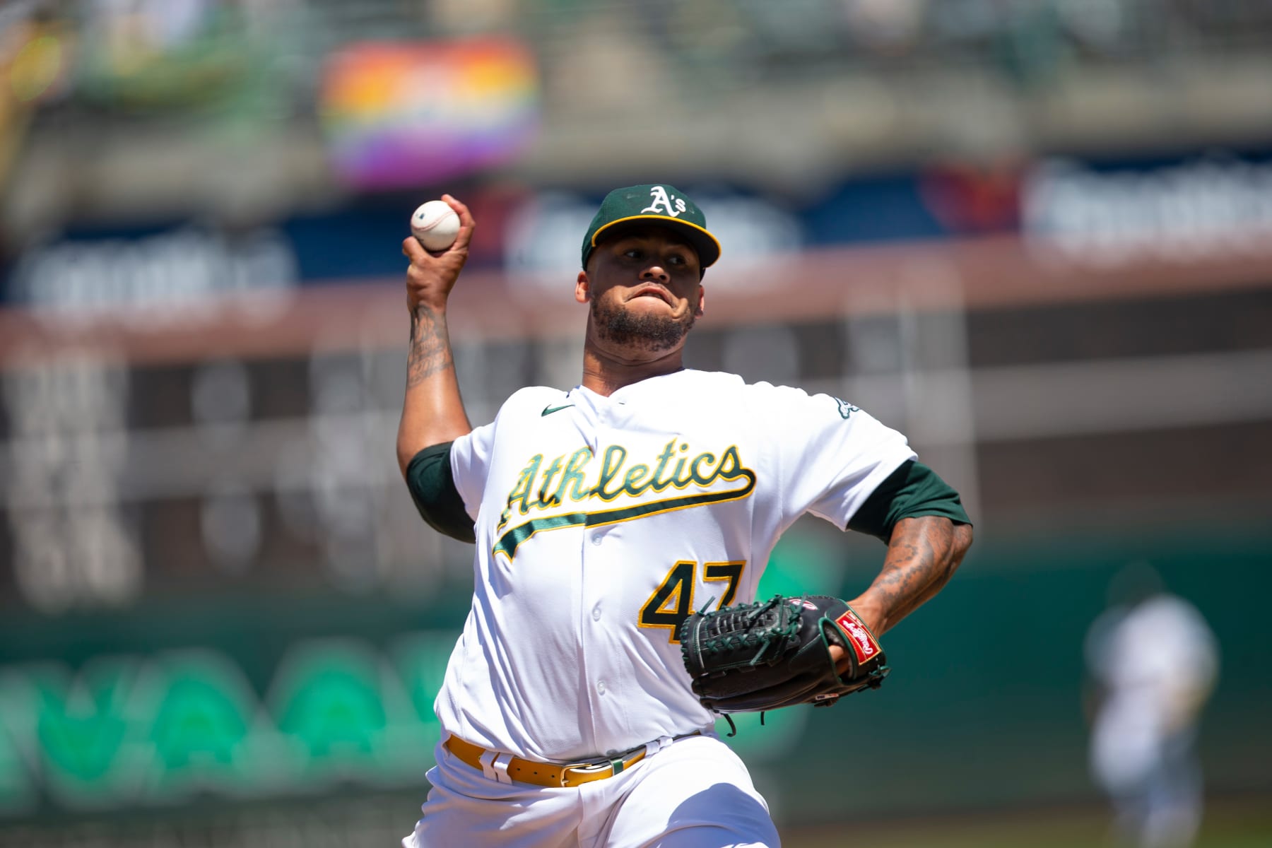 MLB Rumors & News on X: #Athletics, #Yankees, and #Mets spring