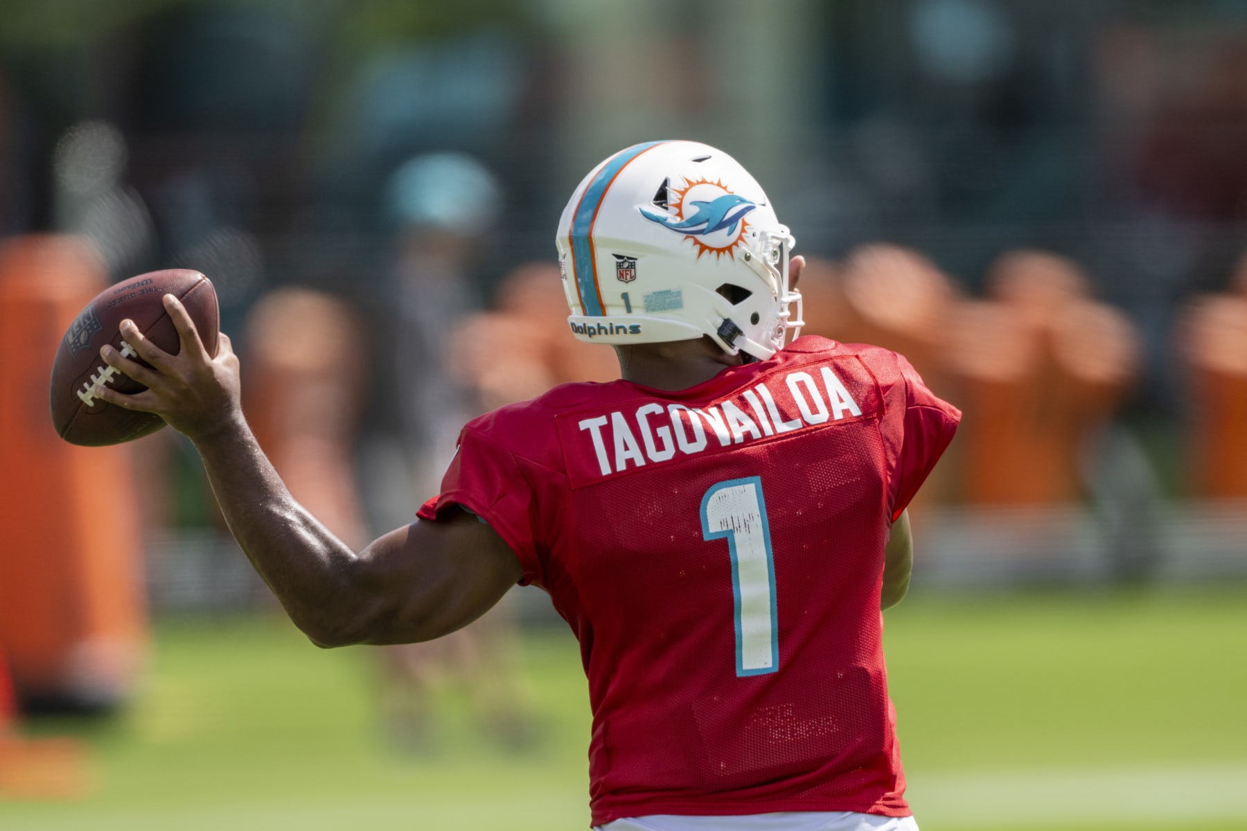 Best NFL Prop Bets for Dolphins vs. Patriots in Week 17 (Trust Teddy  Bridgewater)