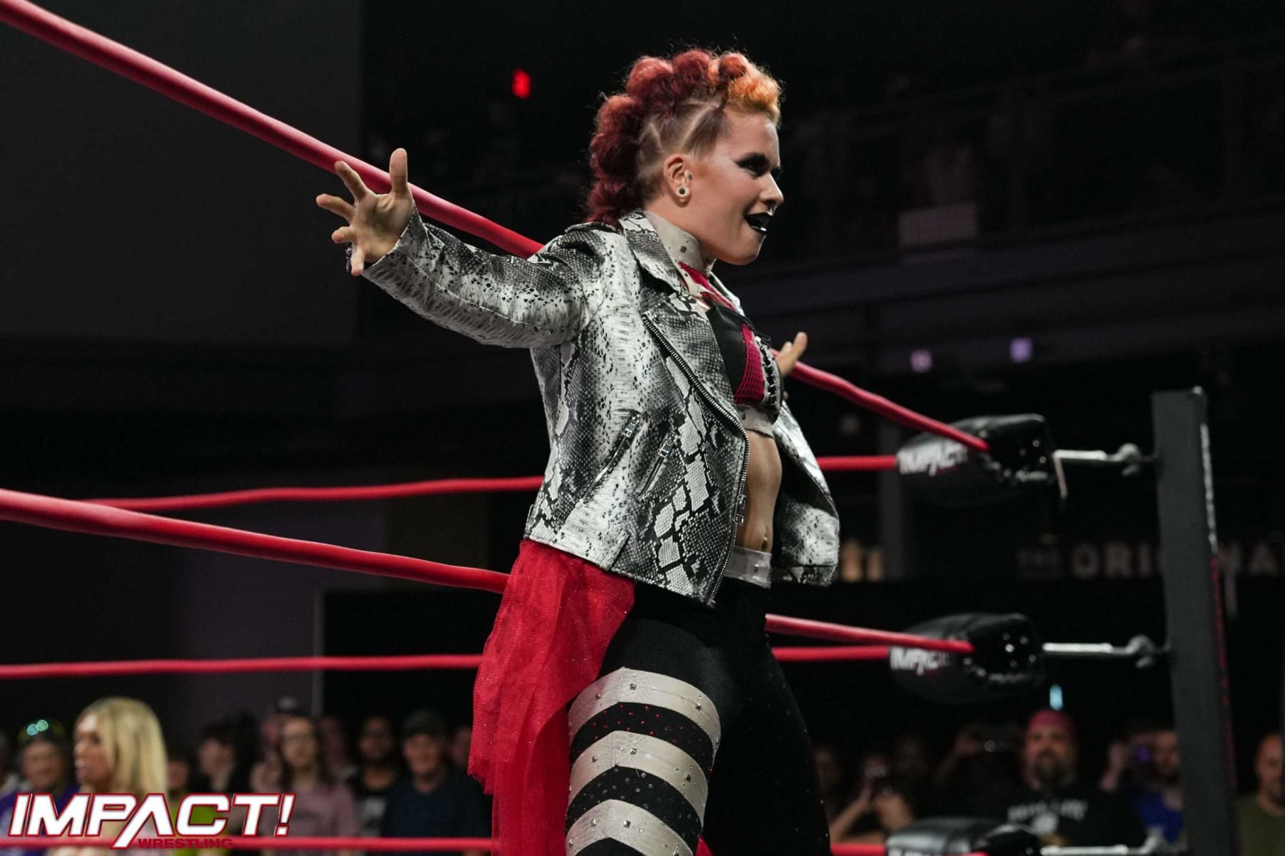 AEW All Out 2022 Results: Winners, Grades, Reaction and Highlights