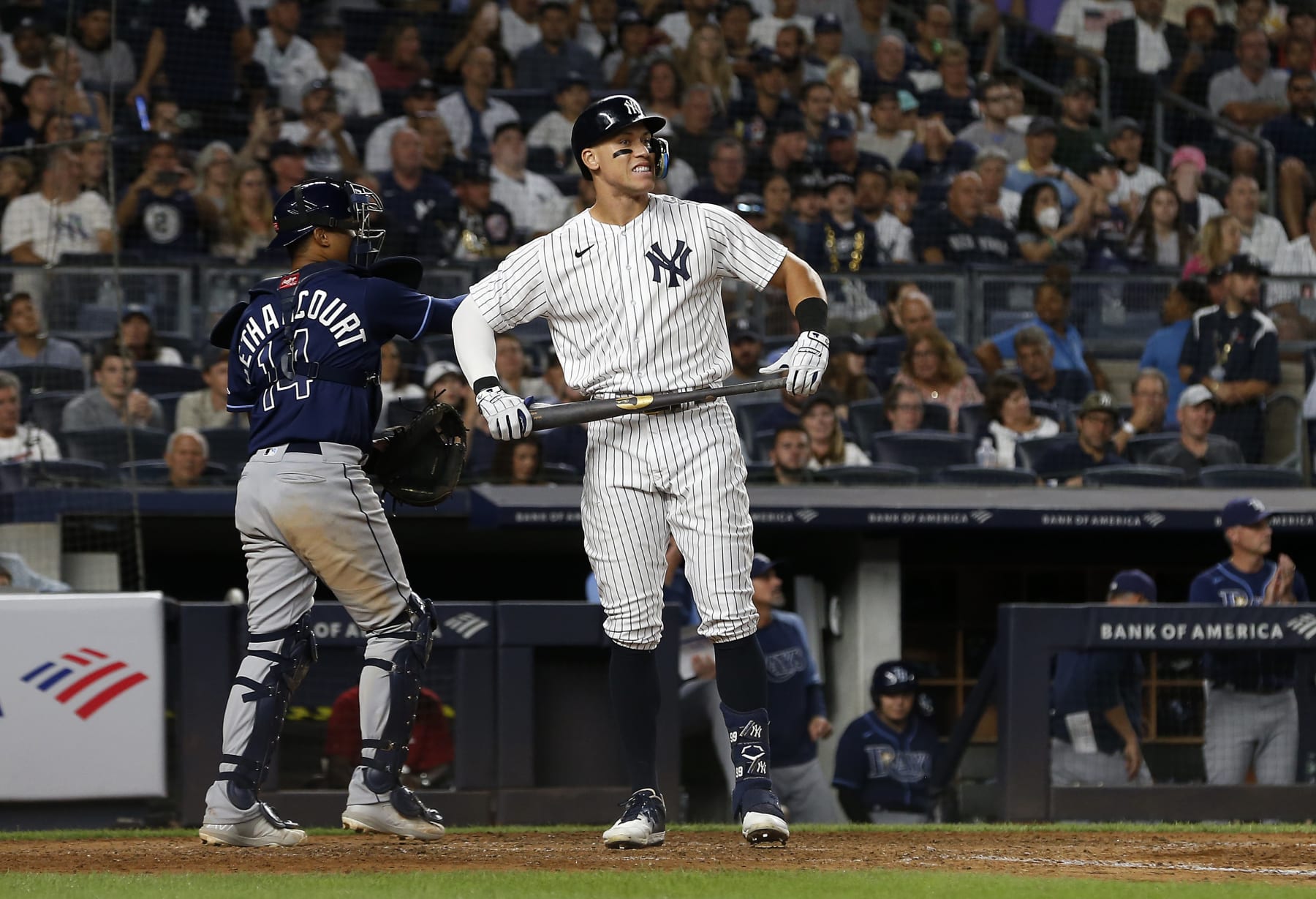 Buying or Selling the Yankees as World Series Contenders After Red