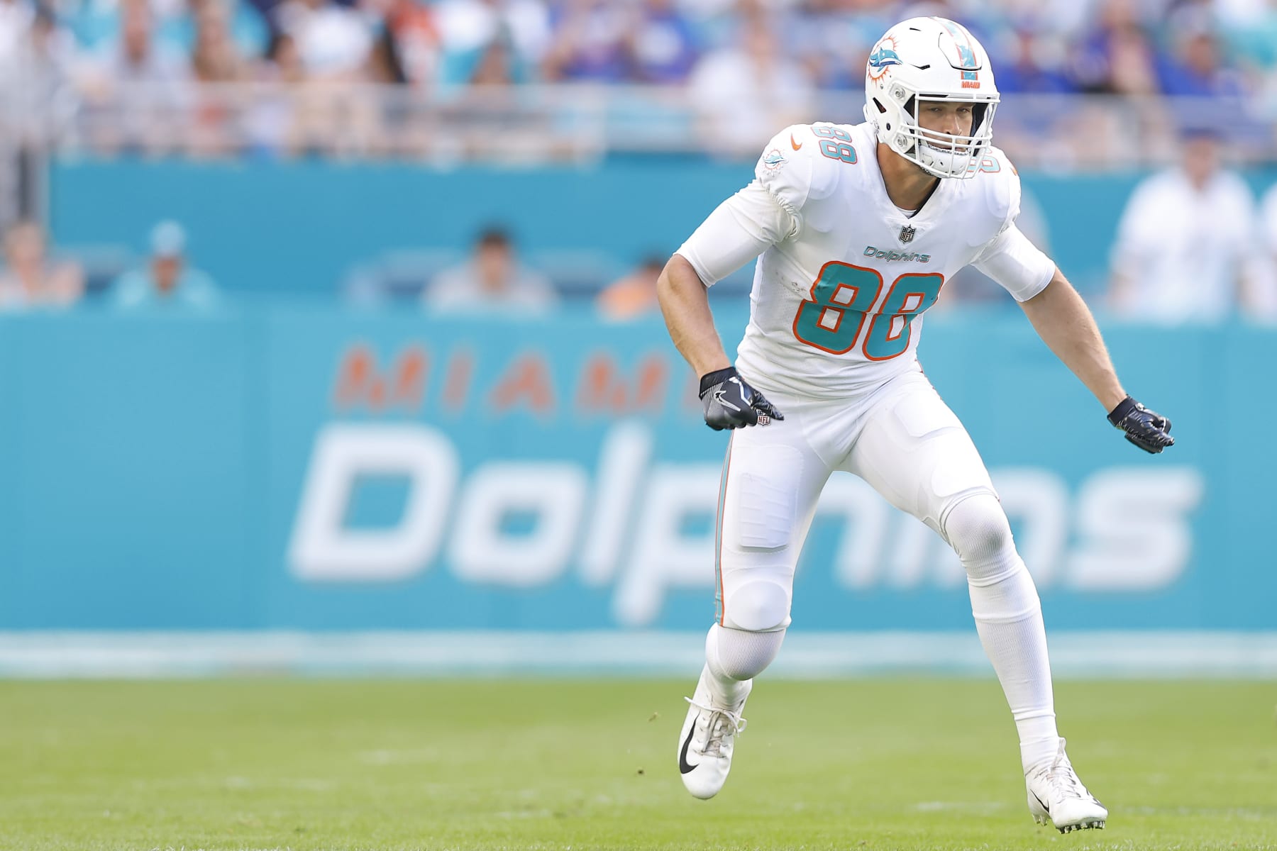 Dolphins HC Delivers Confusing Take On The Mike Gesicki Trade Rumors