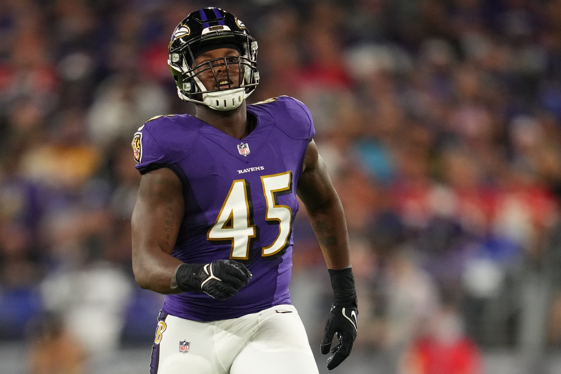 Jaylon Ferguson, Tony Siragusa to Be Honored by Ravens with Helmet