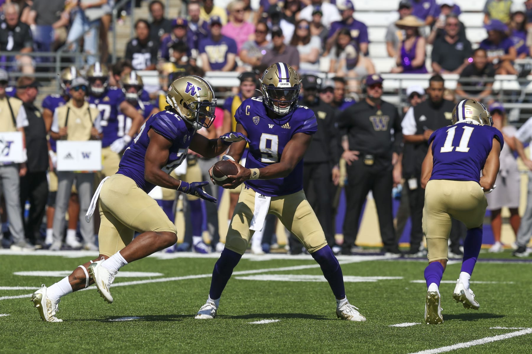 SEATTLE, WA - SEPTEMBER 10: Washington #8 (QB) Michael Penix Jr hands the ball off to #22 (RB) Cameron Davis during a college football game between the Washington Huskies and the Portland State Vikings on September 10, 2022, at Husky Stadium in Seattle, WA. (Photo by Jesse Beals/Icon Sportswire via Getty Images)