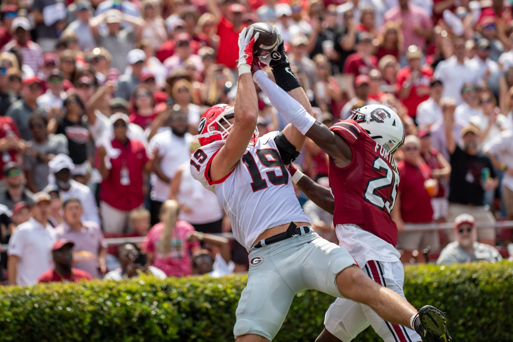 Containing Georgia star TE Brock Bowers will be a 'chess game' for Michigan  