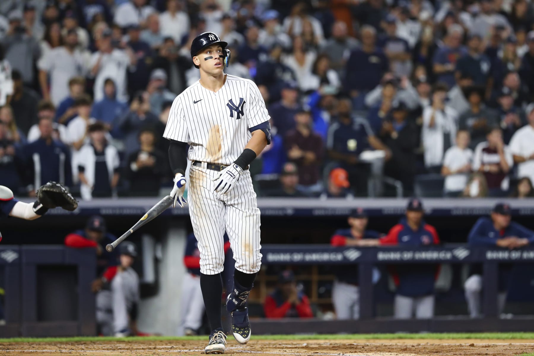15 Facts About Aaron Judge: Baseball's Phenomenal Outfielder 