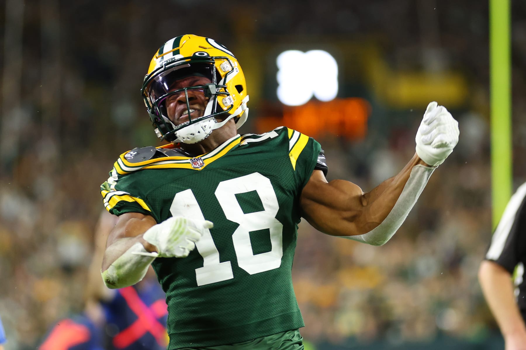 Randall Cobb Injury: Packers Receiver Suffers Knee Injury against Ravens -  Acme Packing Company