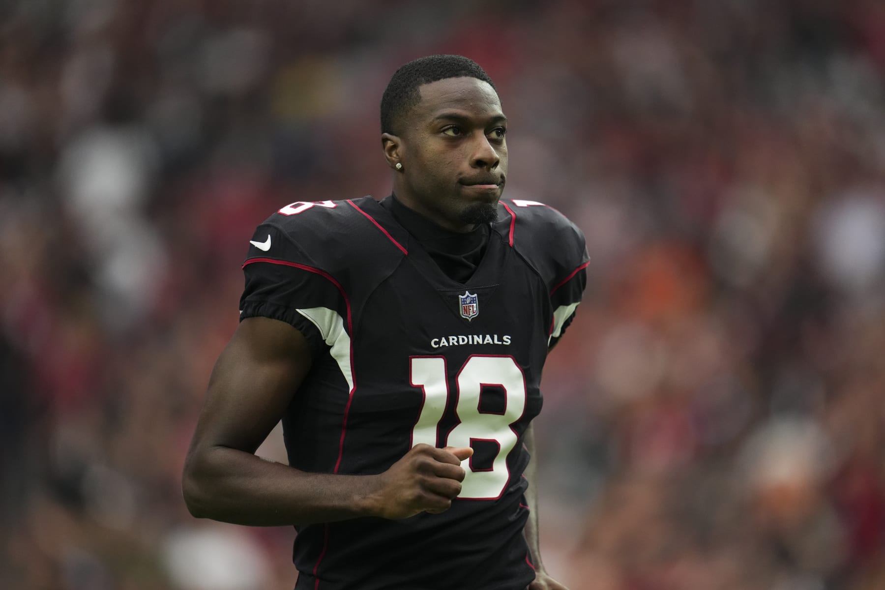 Packers Rumors: Cardinals' A.J. Green Linked to GB Ahead of NFL Trade  Deadline, News, Scores, Highlights, Stats, and Rumors