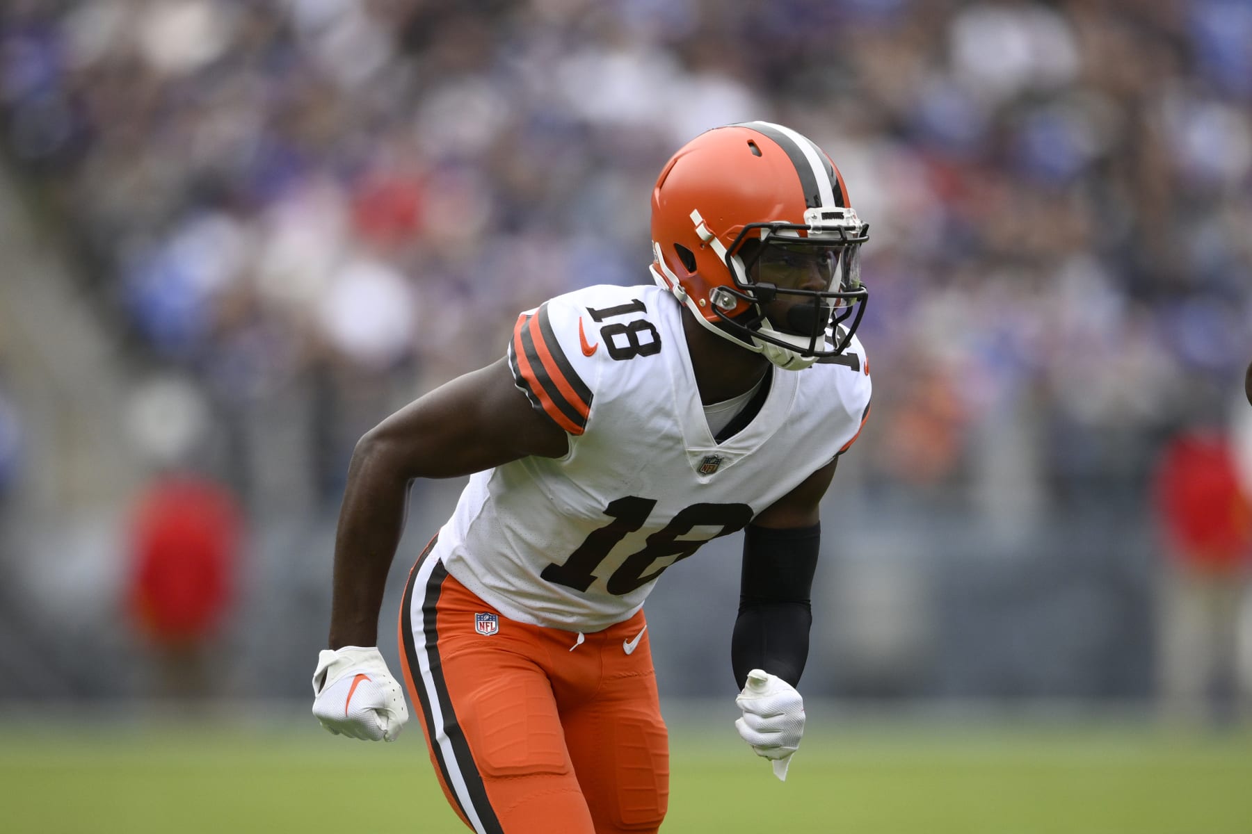 Cleveland Browns wide receiver Donovan Peoples-Jones (11) walks off of the  field at half time during an NFL football game against the Tampa Bay  Buccaneers, Sunday, Nov. 27, 2022, in Cleveland. (AP