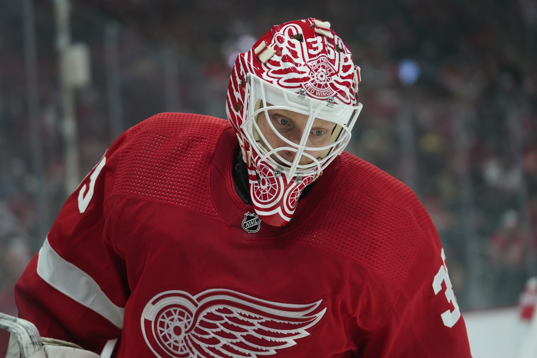 Detroit Red Wings goaltender Alex Nedeljkovic sprays his face