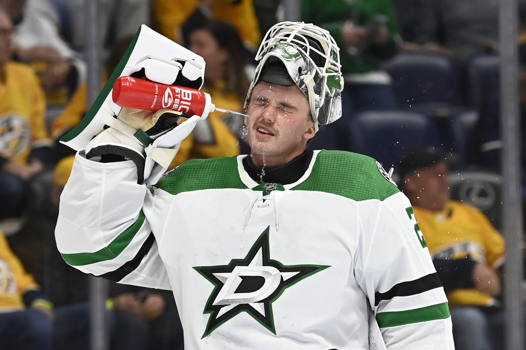 Dallas Stars fan punched in the face after saying N-word at game