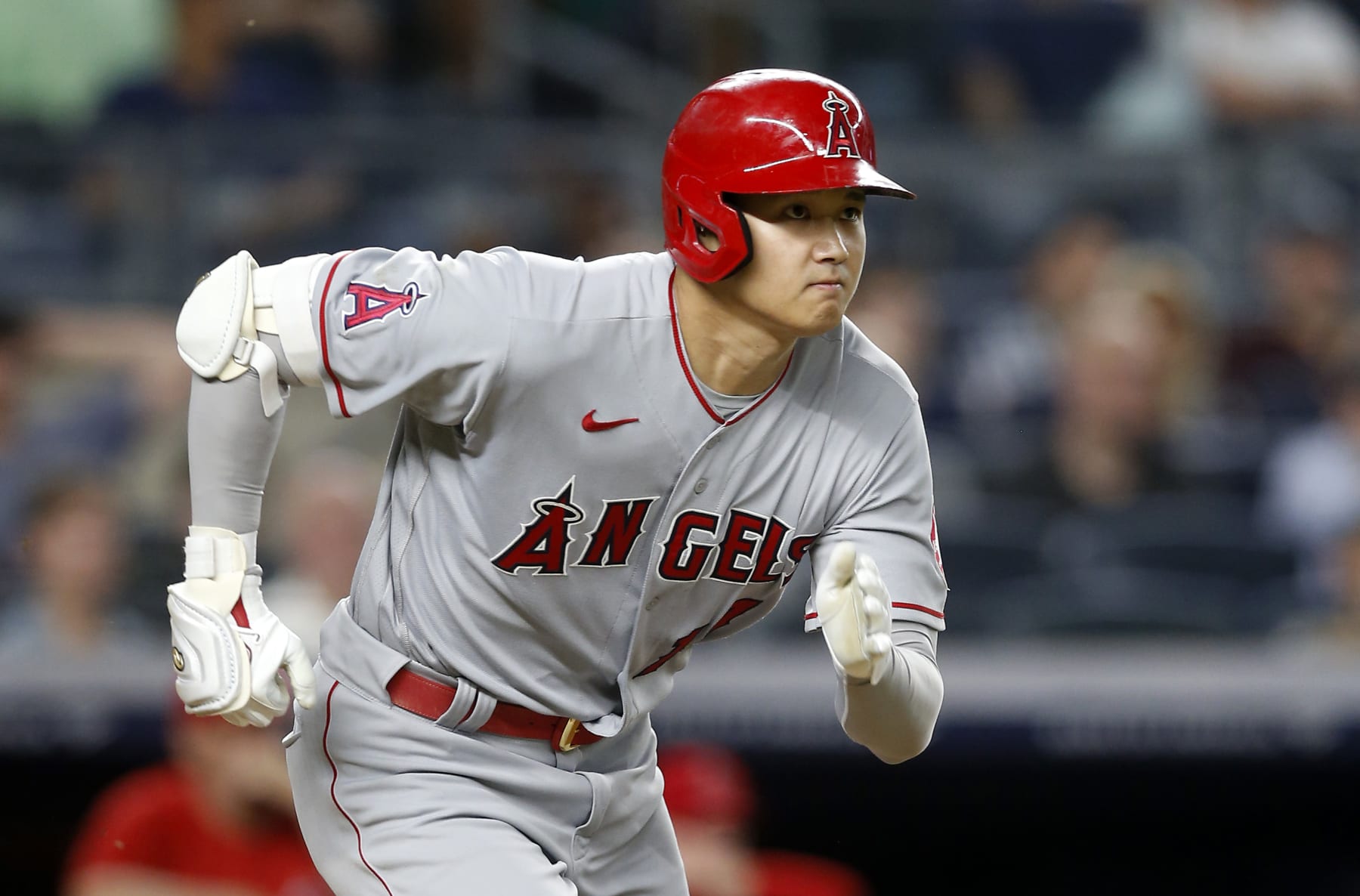 Los Angeles Angels on X: The Angels have declined OF Kole