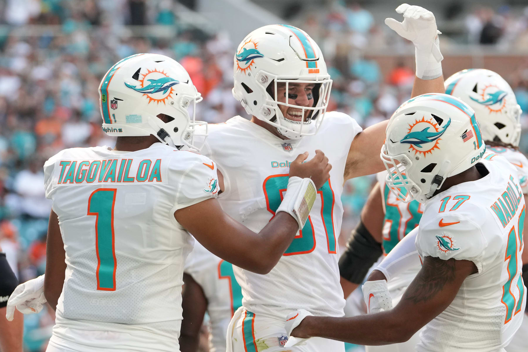 Miami Dolphins: How They Can Get Into The Playoffs Not Next Year, But This  Year, News, Scores, Highlights, Stats, and Rumors