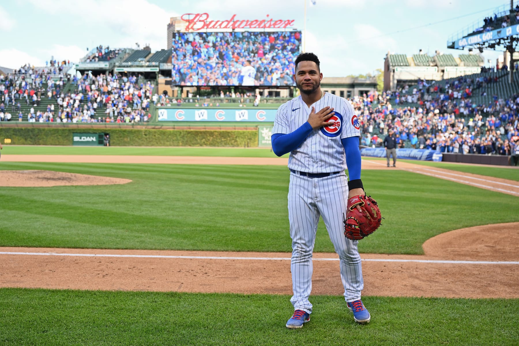 Willson Contreras Won't Play OF, Will Be Used as DH, Cardinals President  Says, News, Scores, Highlights, Stats, and Rumors