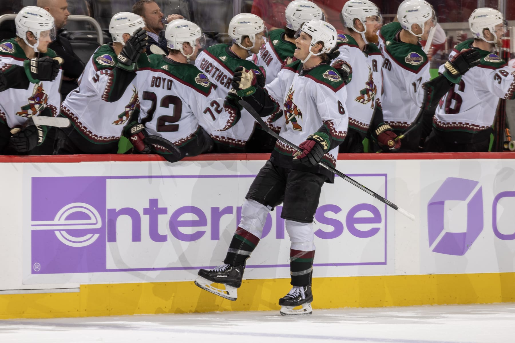Arizona Coyotes