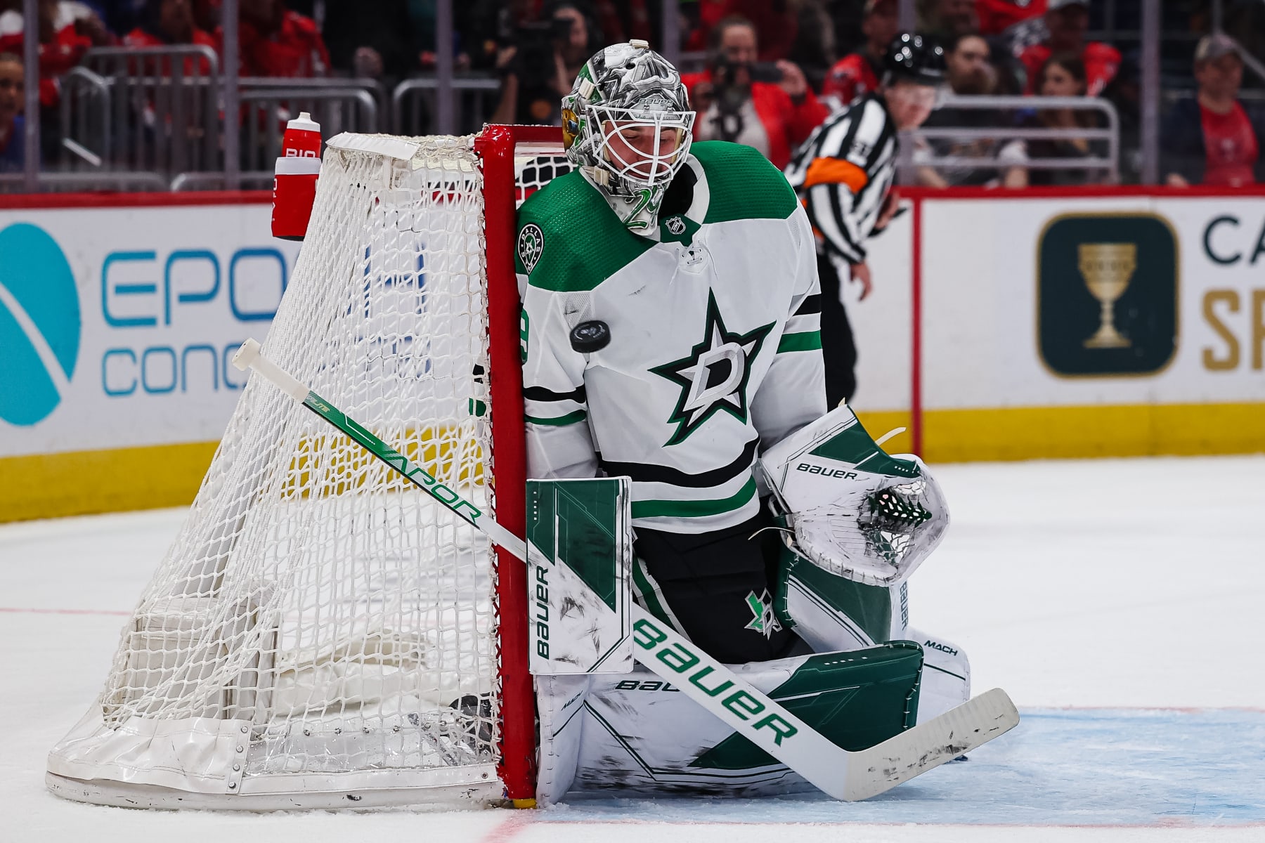 Dallas Stars on X: THE FOX IS HOT 