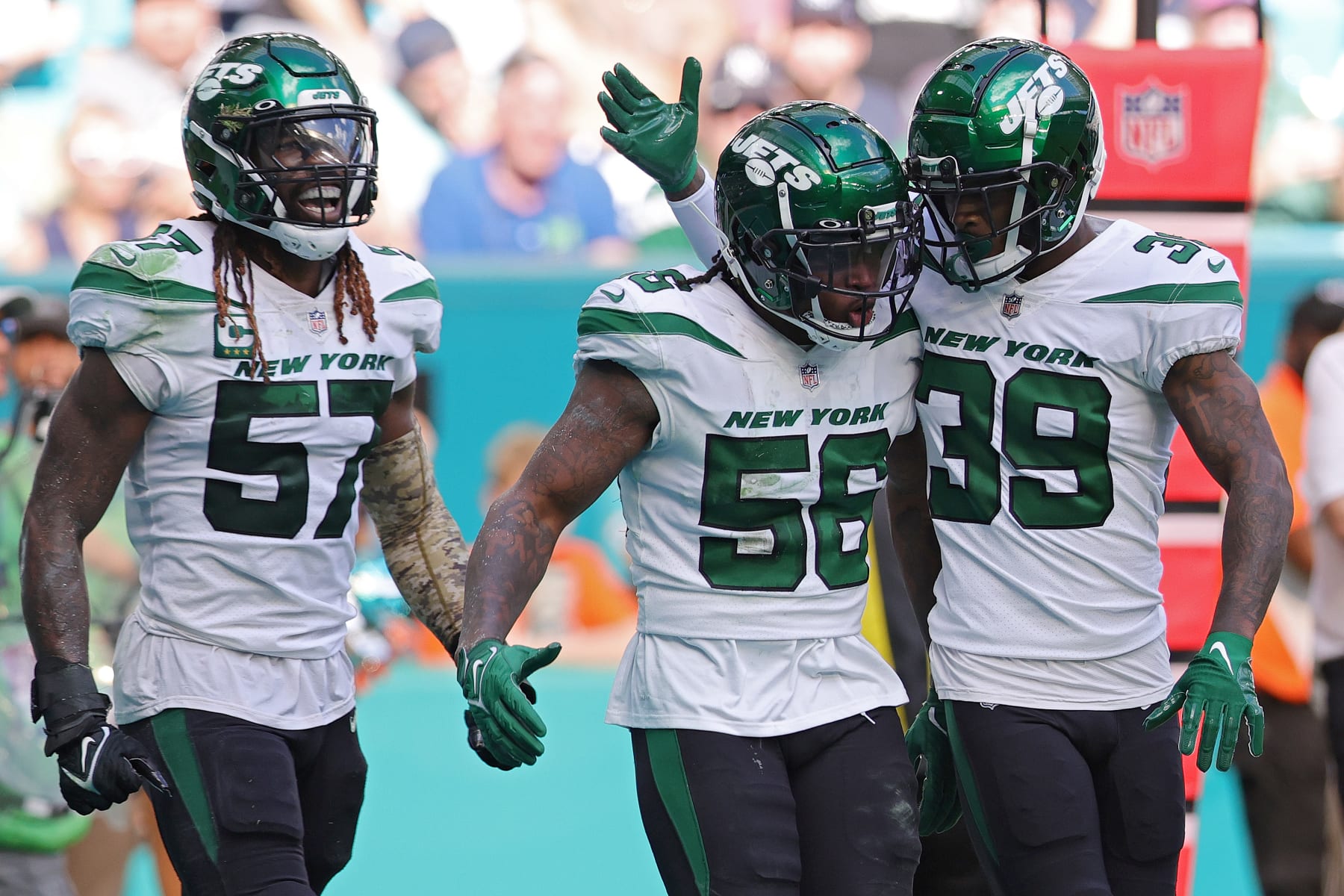 MIAMI GARDENS, FLORIDA - JANUARY 08: Quincy Williams #56 of the New York Jets celebrates with Will Parks #39 of the New York Jets after breaking up a pass during the third quarter against the Miami Dolphins at Hard Rock Stadium on January 08, 2023 in Miami Gardens, Florida. (Photo by Megan Briggs/Getty Images)