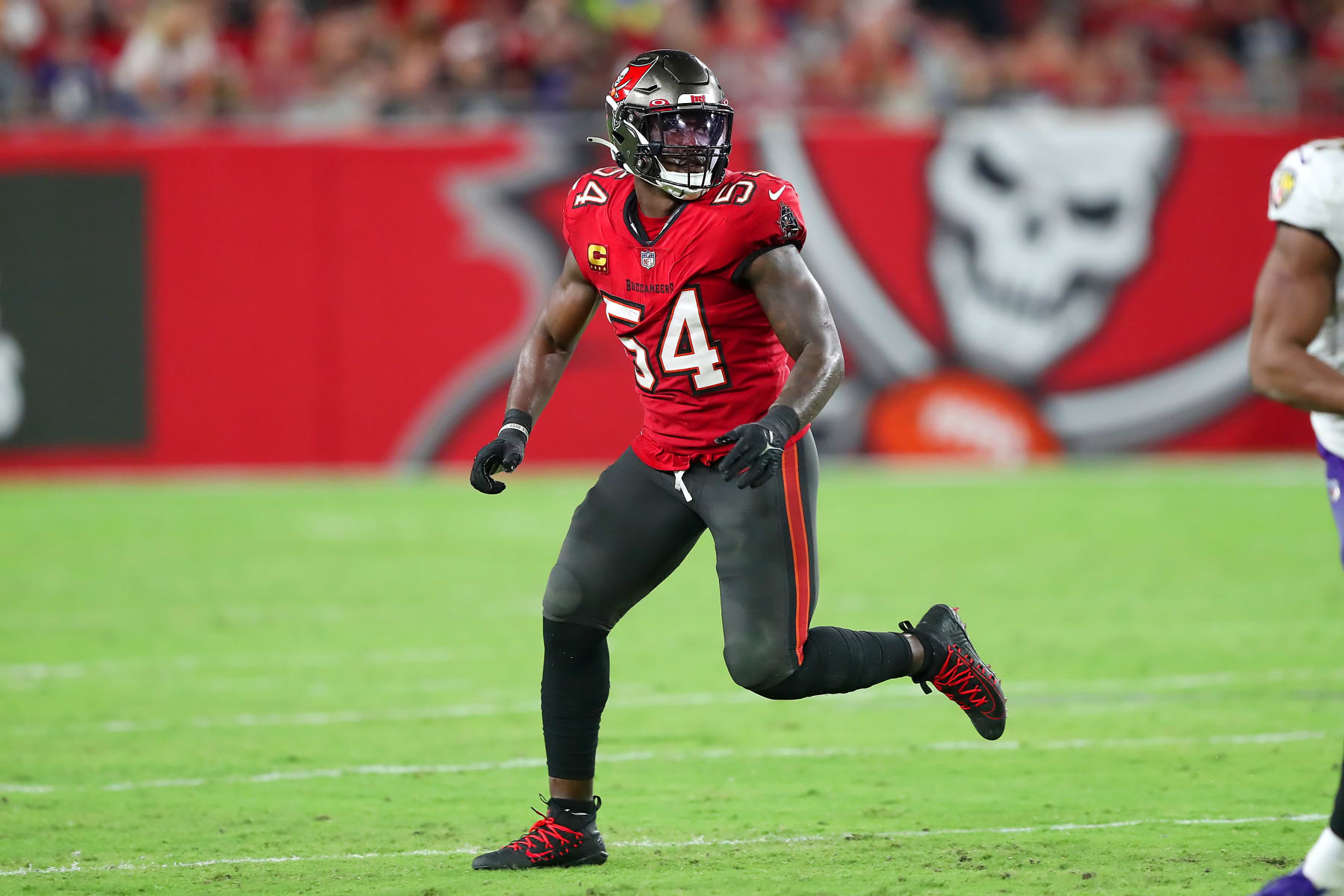 Lavonte David - NFL News, Rumors, & Updates