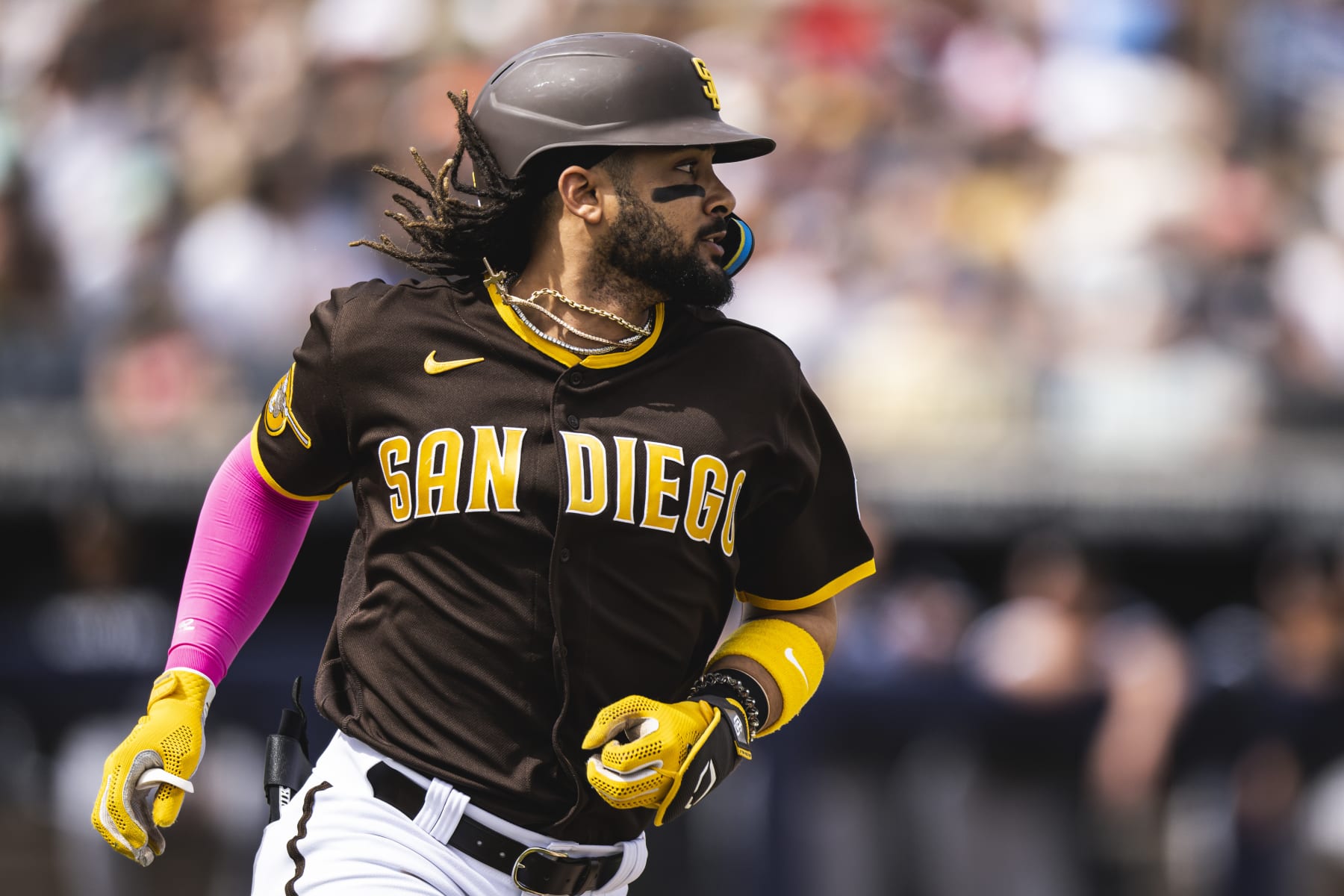 Fernando Tatis Jr.