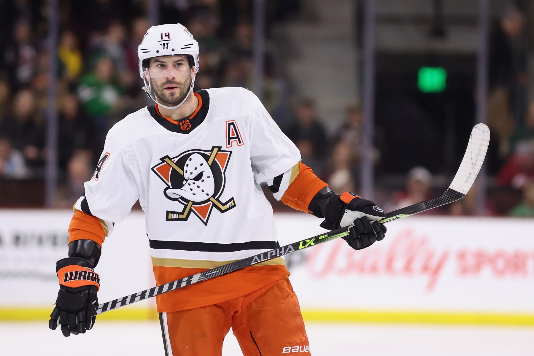 Anaheim Ducks Solidify Defense, Fourth Line With Pair of Signings