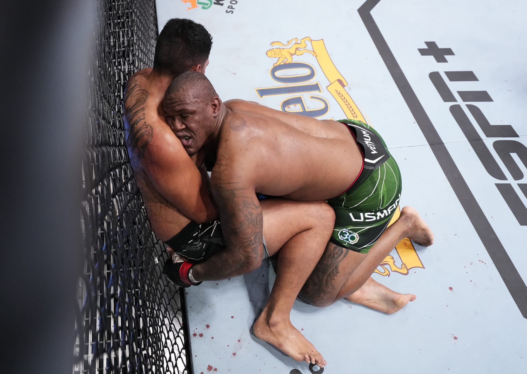 The Real Winners and Losers From UFC Fight Night 222 | News, Scores,  Highlights, Stats, and Rumors | Bleacher Report