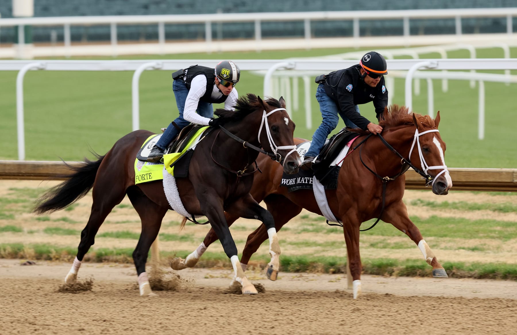 Kentucky Derby 2023 Contenders: Lineup and Pedigree for All Entries in the  Field, News, Scores, Highlights, Stats, and Rumors