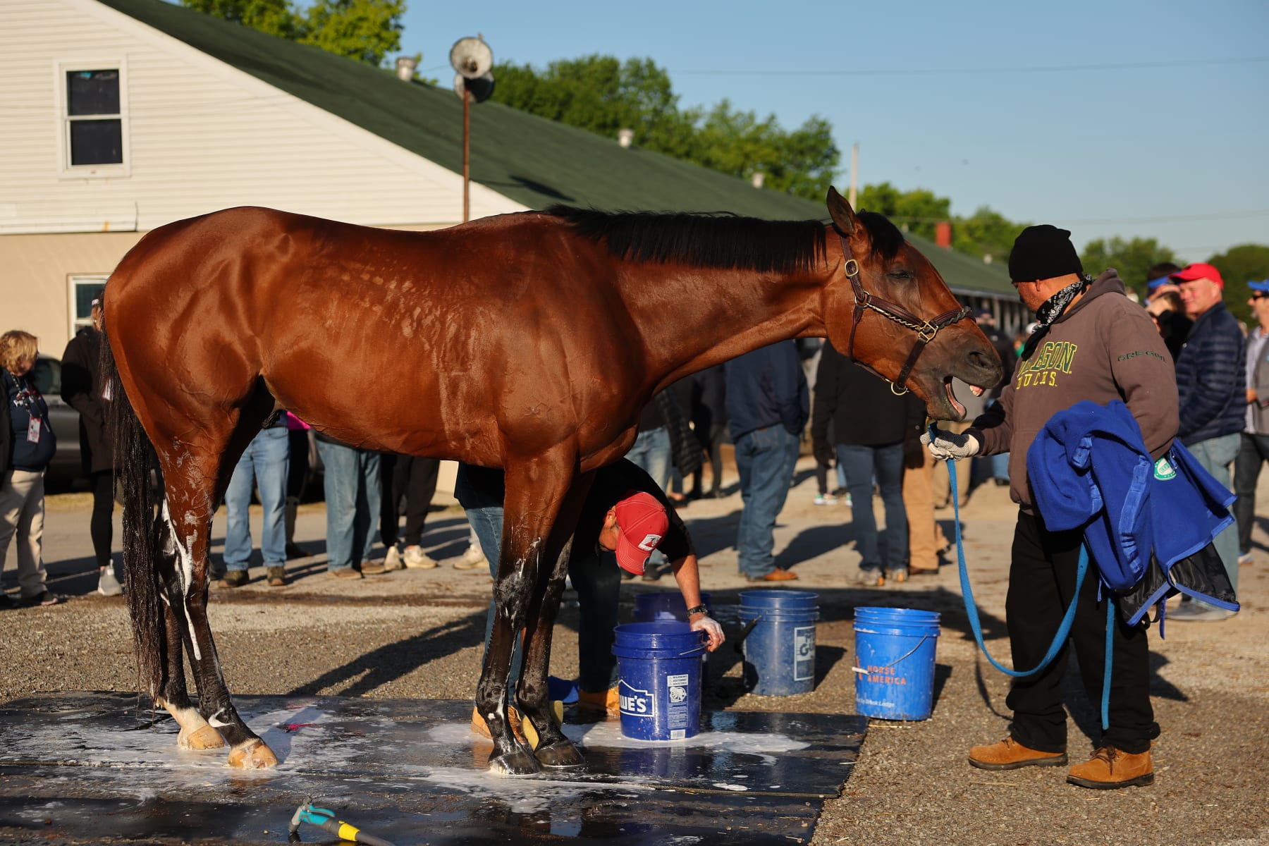 LOUISVILLE, KENTUCKY - MAY 04: Practical Move is washed in the barn area after morning workouts in preparation for the 149th running of the Kentucky Derby at Churchill Downs on May 04, 2023 in Louisville, Kentucky. (Photo by Michael Reaves/Getty Images) LOUISVILLE, KENTUCKY - MAY 04: Practical Move is washed in the barn area after morning workouts in preparation for the 149th running of the Kentucky Derby at Churchill Downs on May 04, 2023 in Louisville, Kentucky. (Photo by Michael Reaves/Getty Images)