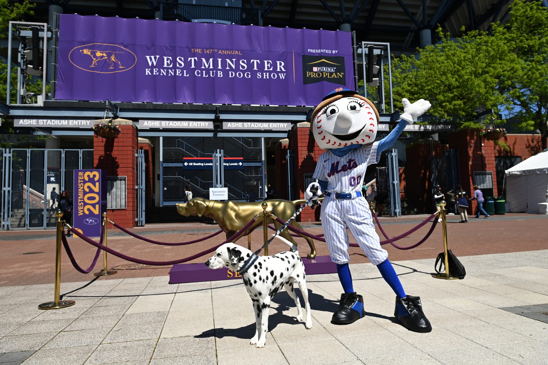 Chargers' Morgan Fox a proud owner of No. 2 dog at Westminster Kennel Club  show - NBC Sports