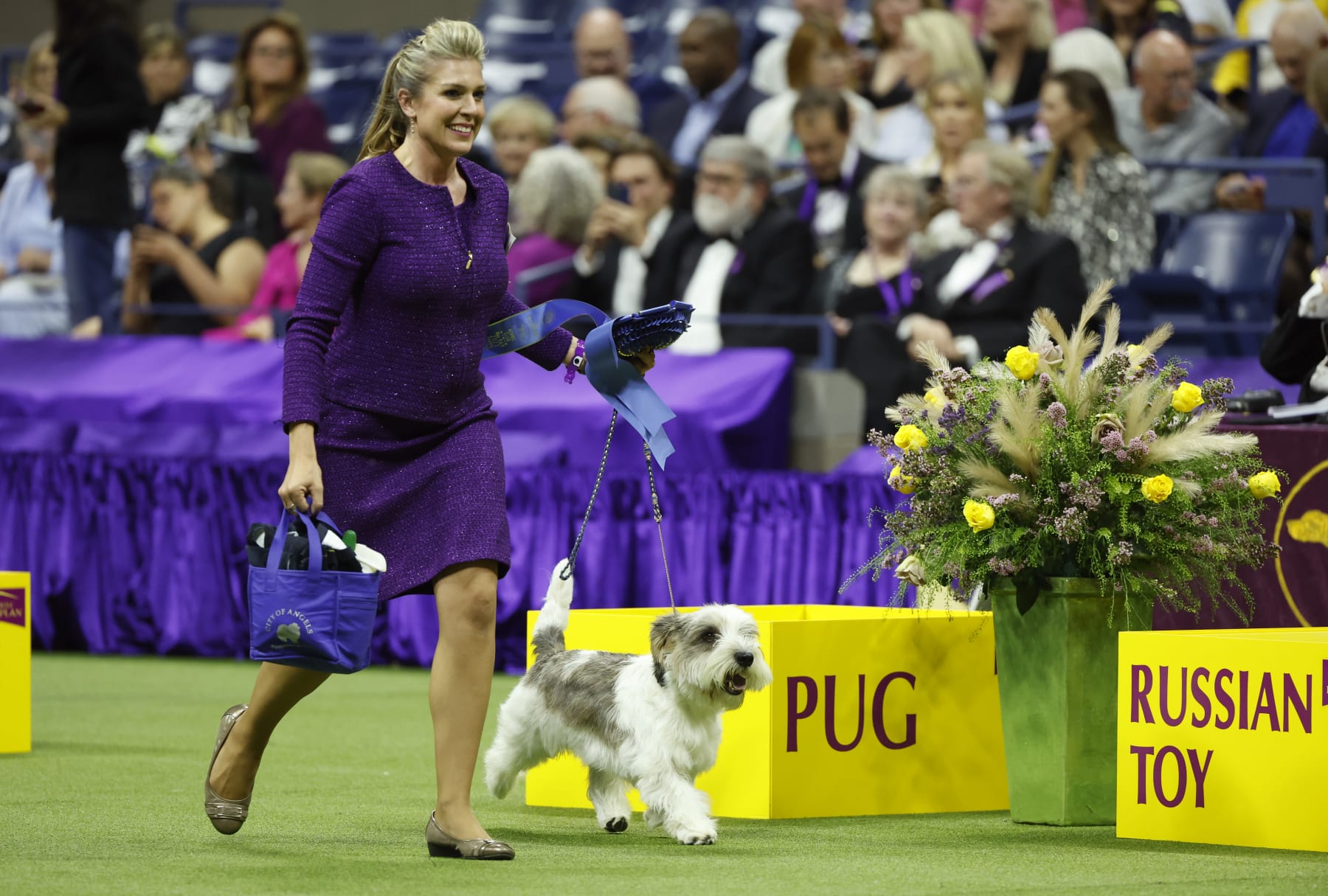 AKC rules in action at a dog show in 2022