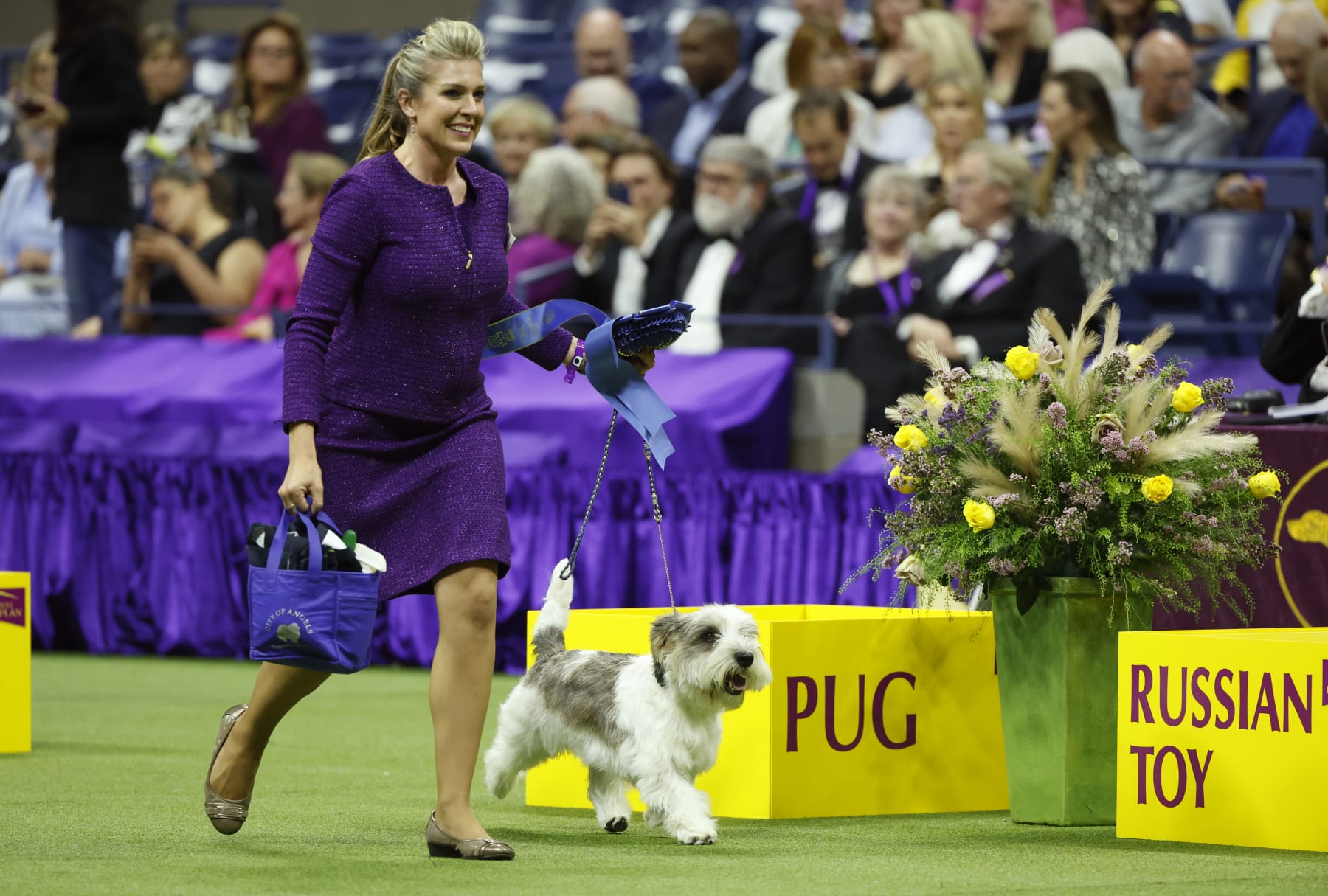 what dog won the terrier group at westminster