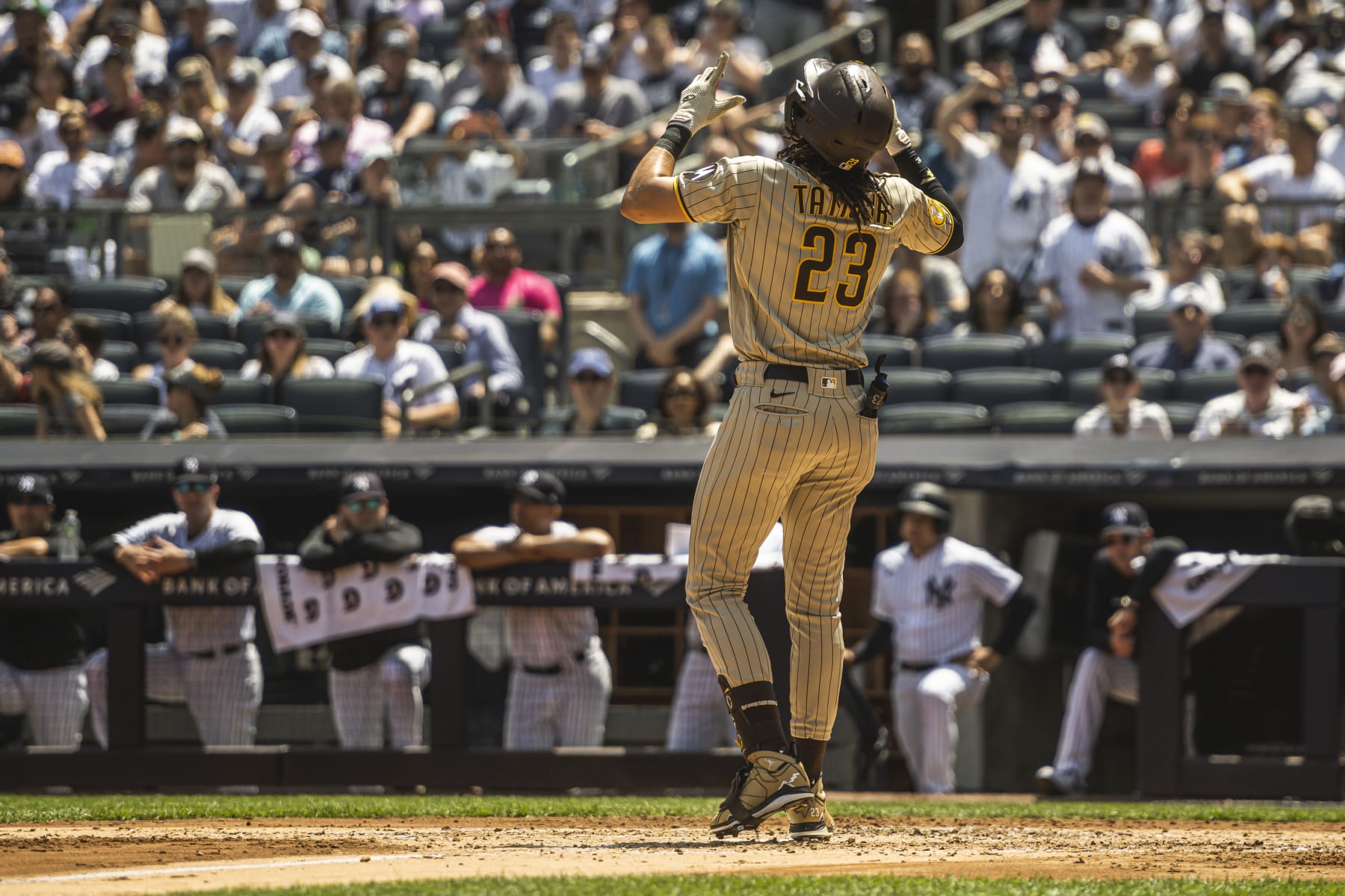 Where's the needle?': Yankees fans rip Padres' Fernando Tatis Jr